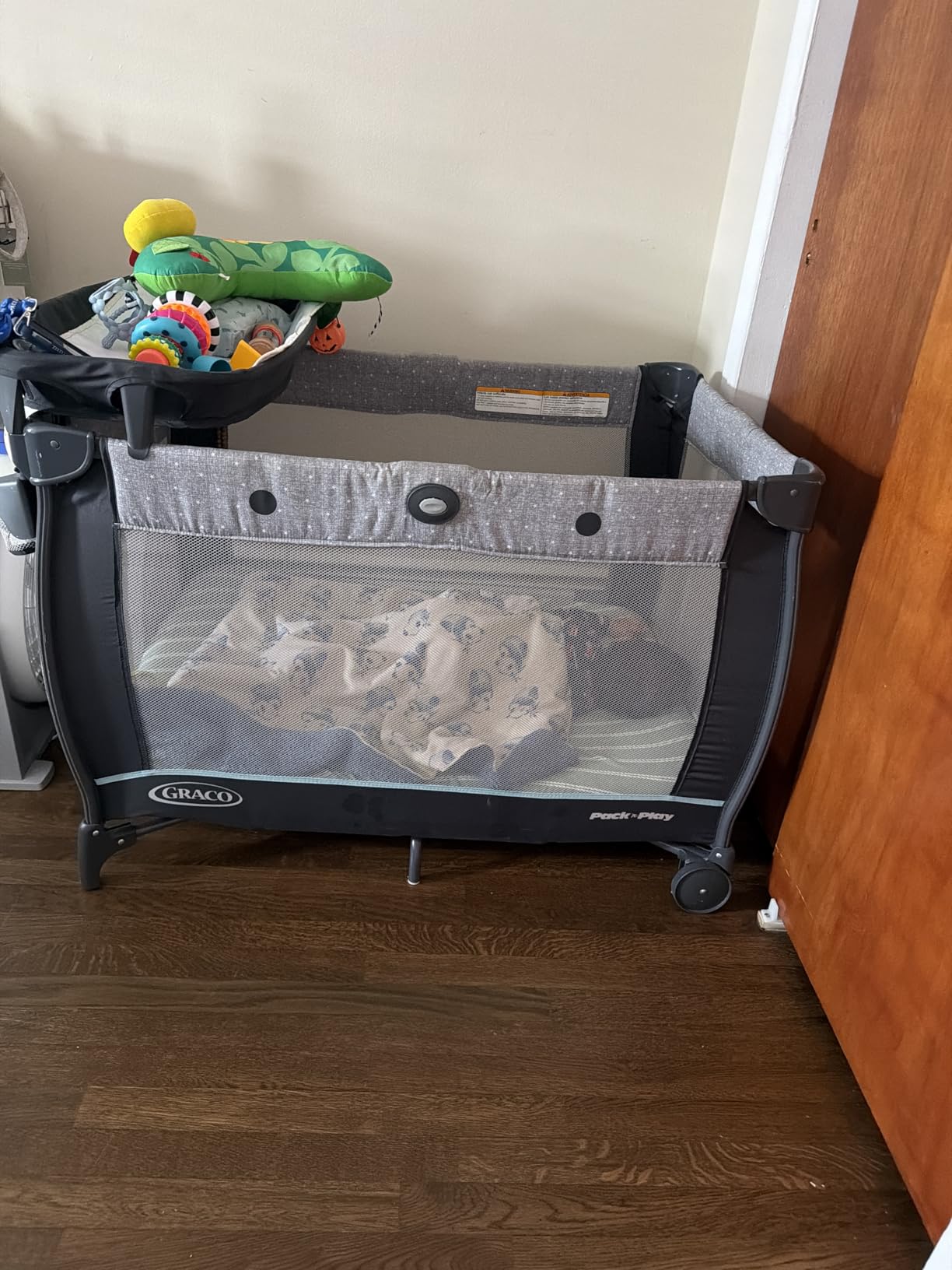 Graco Travel Dome LX Pack 'n Play Playard, Redmond customer photo 1