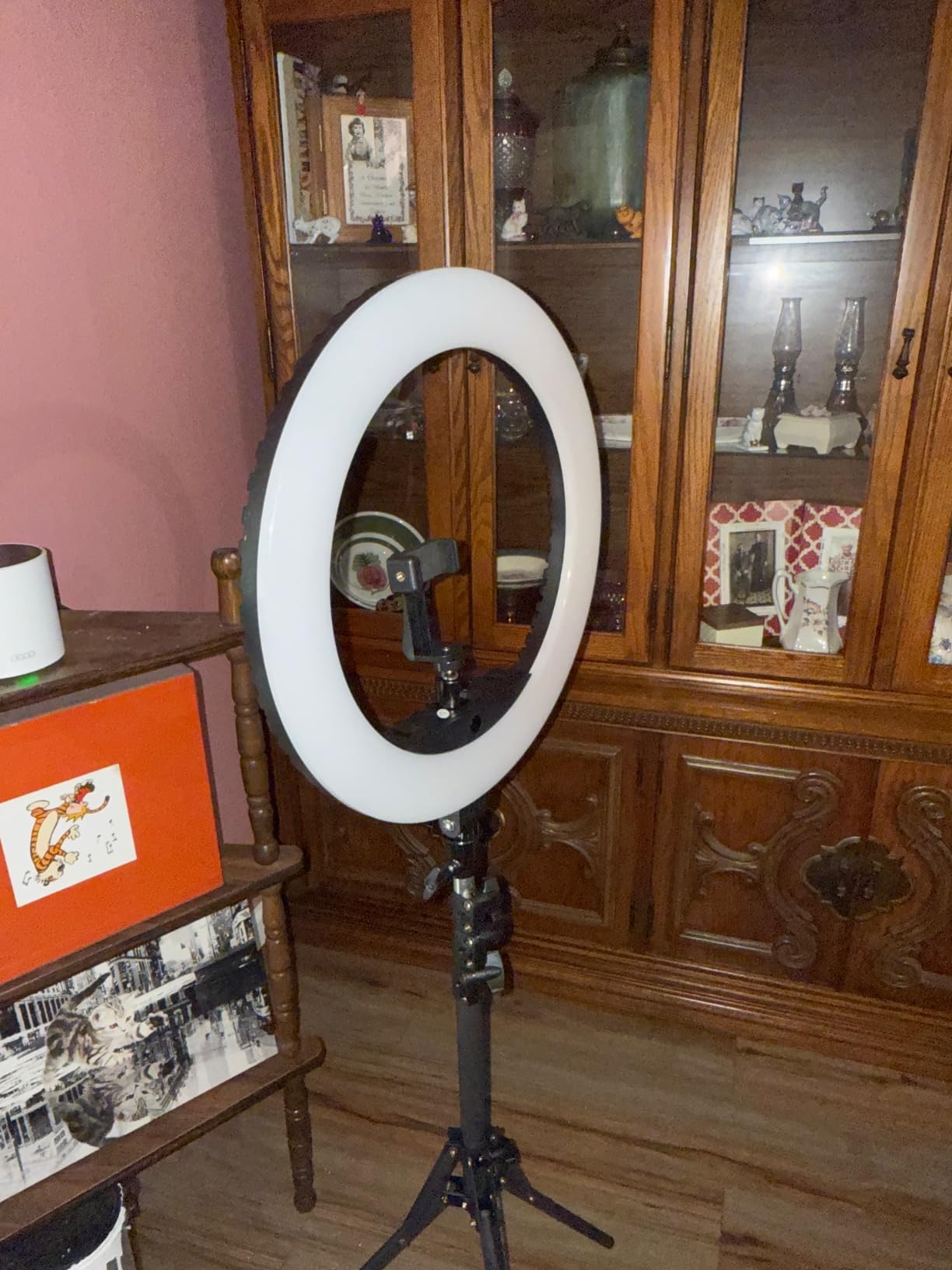 18 inch LED Ring Light with Tripod Stand Dimmable Makeup Selfie Ring Light for Studio Portrait YouTube Vlog Video Shooting with Carrying Bag and Remote Controller, CRI 90 customer photo 2