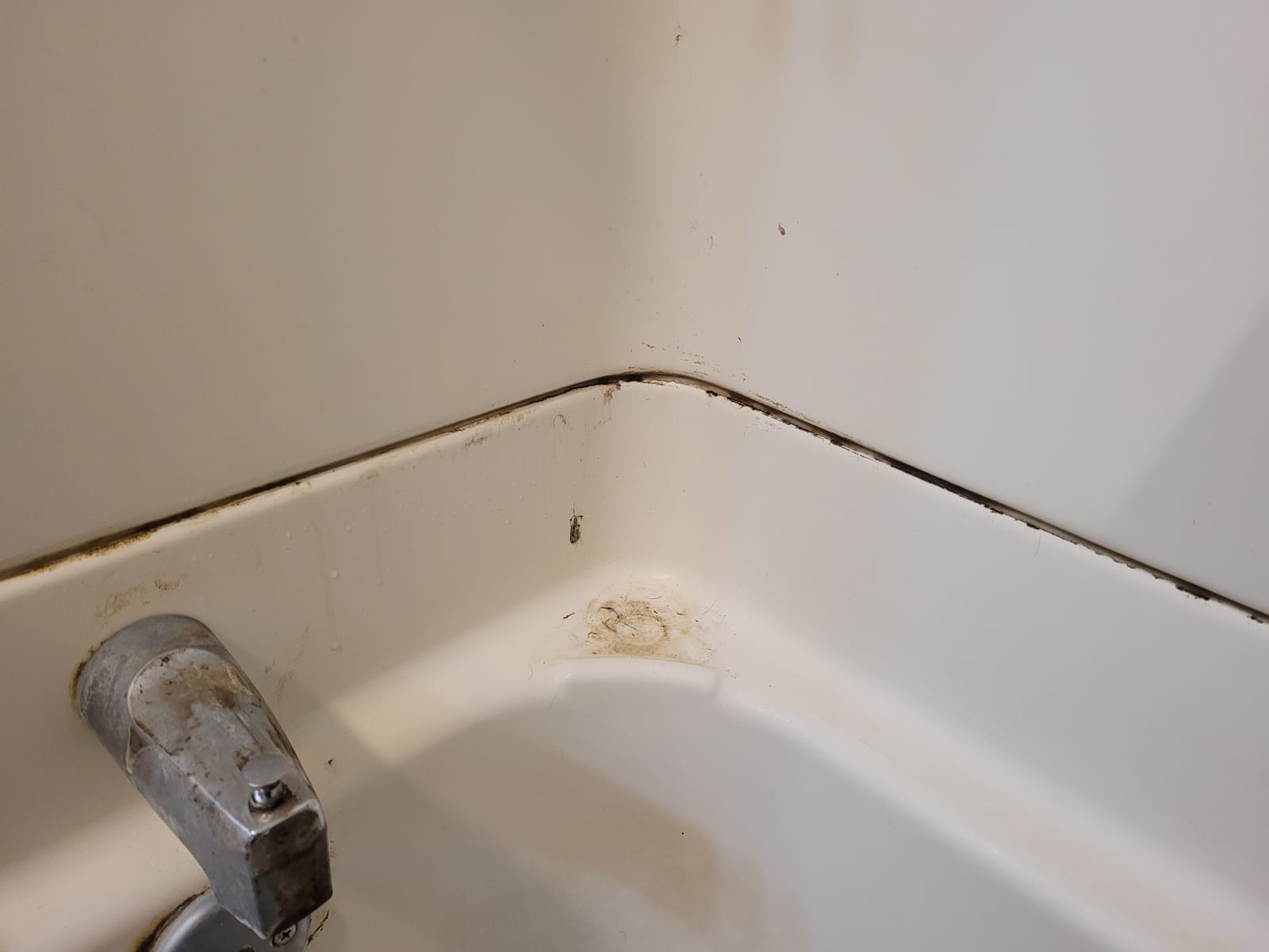 Hoover Steam Complete Pet Steam Mop, Hard Floor Cleaner Machine customer photo 2