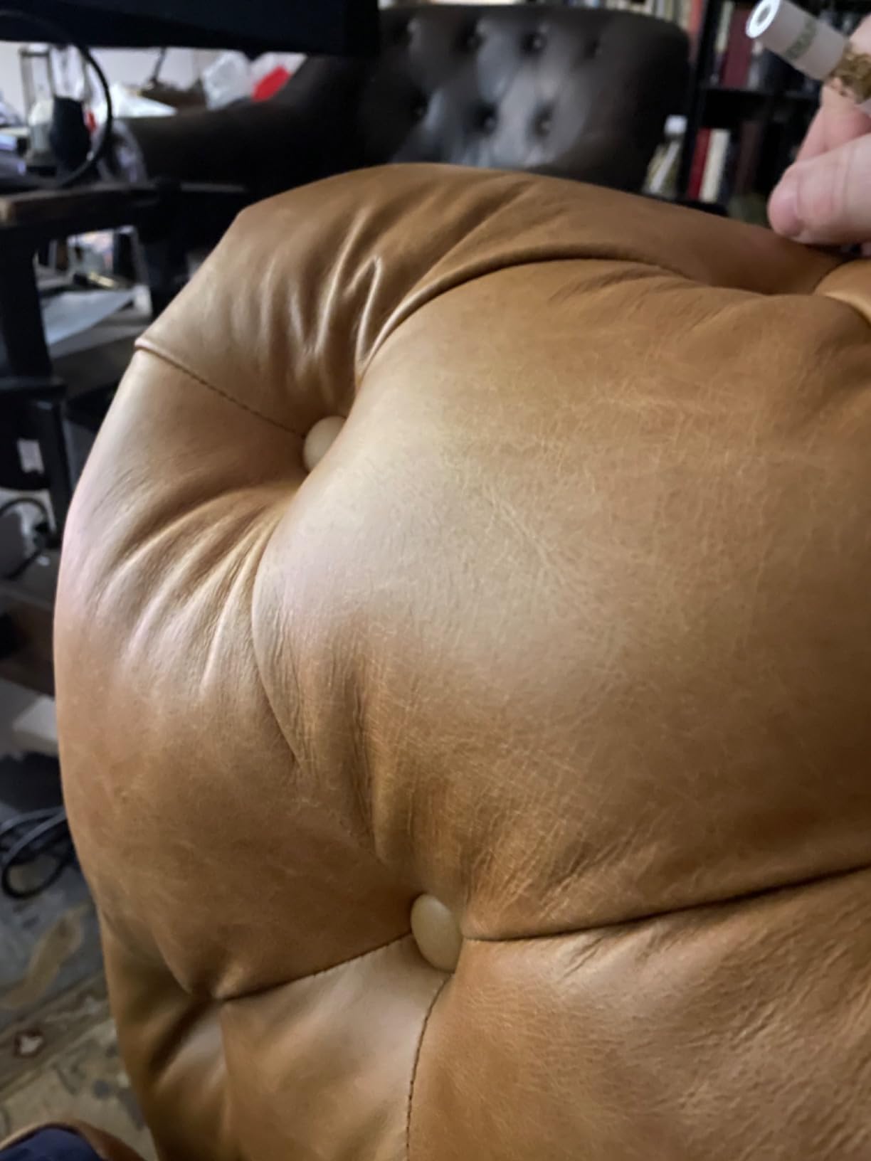 POLY & BARK Canale Sofa – 86