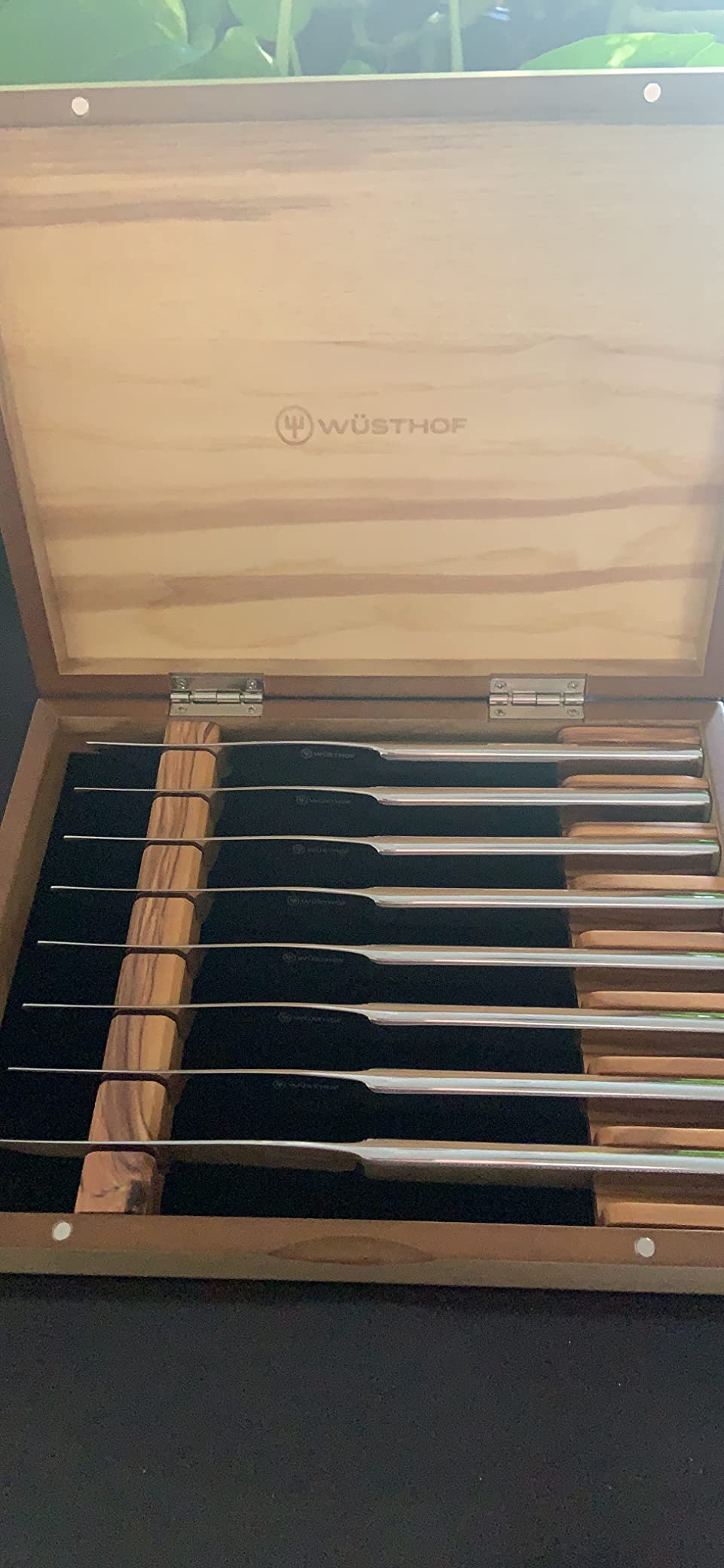 Wusthof 8-Piece Stainless Mignon Steak Knife Set customer photo 1