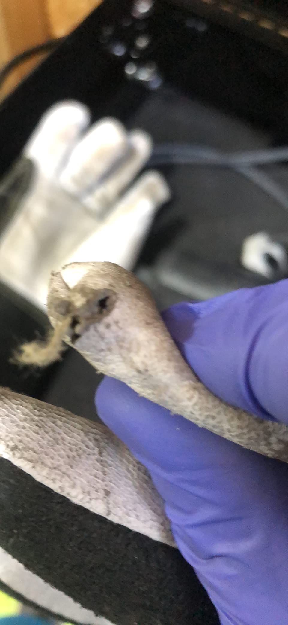 YESWELDER Premium Goatskin TIG Welding Gloves customer photo 2
