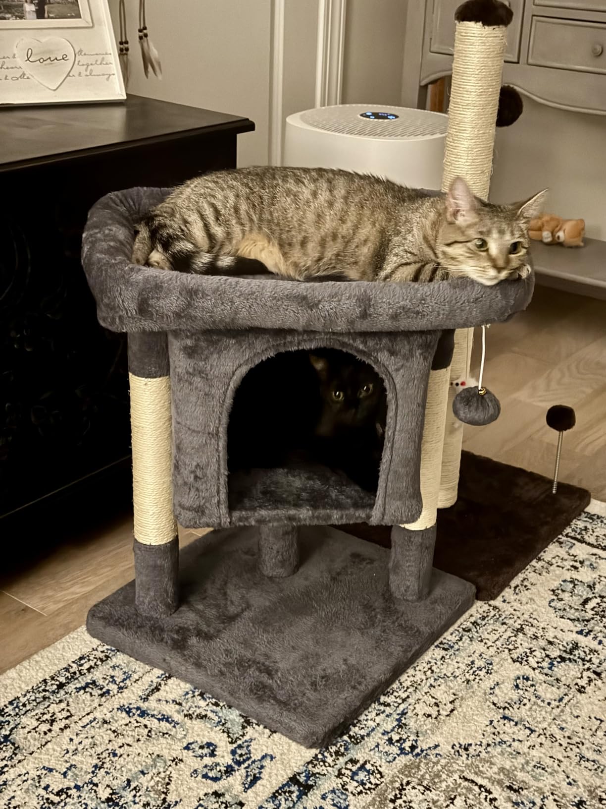 Yaheetech 23.5in Small Low-Profile Cat Tower with Scratching Posts | Space-saving 16x16in base, Soft Plush Cover, Solid Particleboard Frame, Fits Tiny Apartments, Dark gray customer photo 1