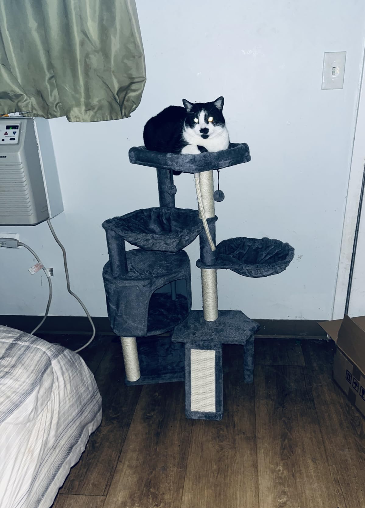 Three Layer Cat Tree with Cat Condo and Two Hammocks,Grey customer photo 1