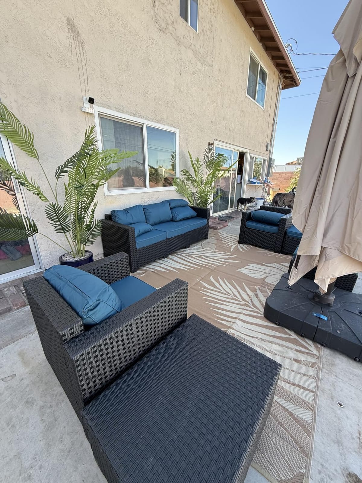 Rattaner Patio Wicker Furniture Set 6 Pieces Outdoor HDPE Wicker Conversation Couch Sectional Chair Sofa Set with Grey Cushions customer photo 2