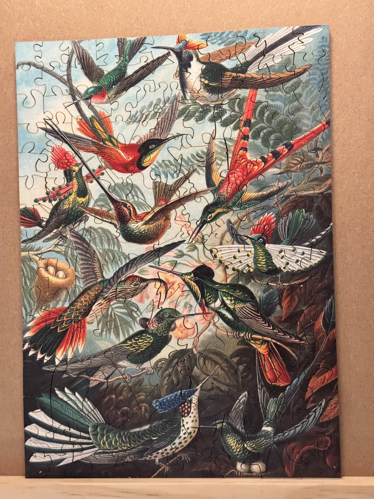Wooden Jigsaw Puzzle for Adults - Uniquely Shaped Pieces - Made in The USA by FoxSmartBox - 145 Pieces - Hummingbirds customer photo 2