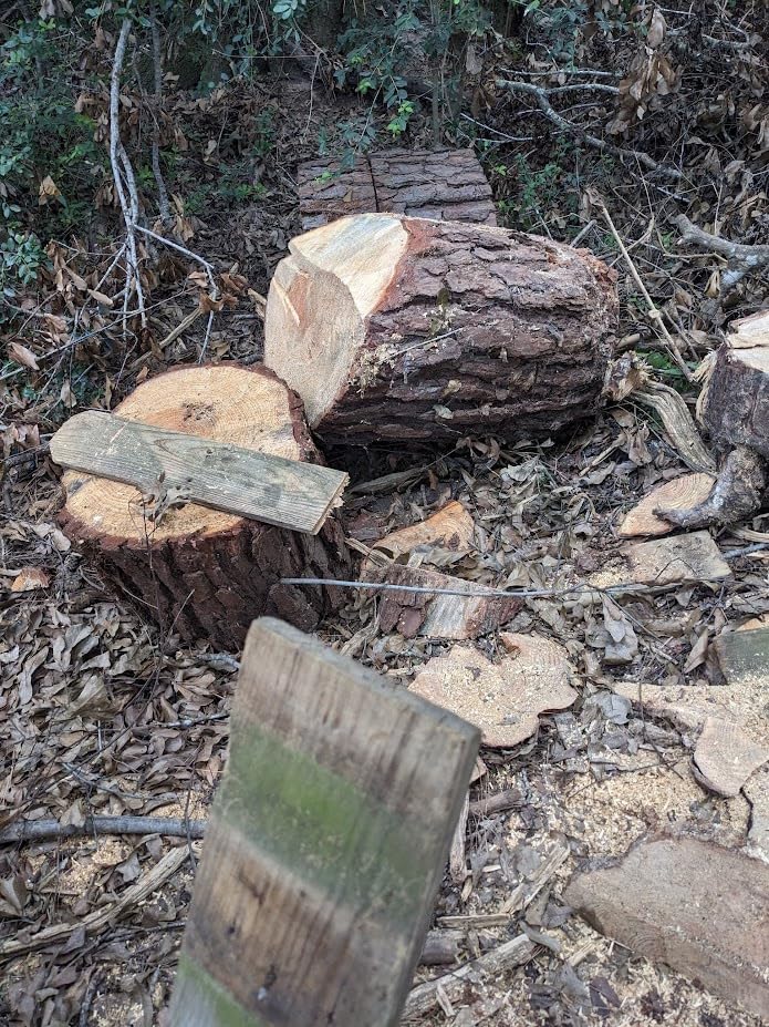 EGO POWER+ Chain Saw, 16