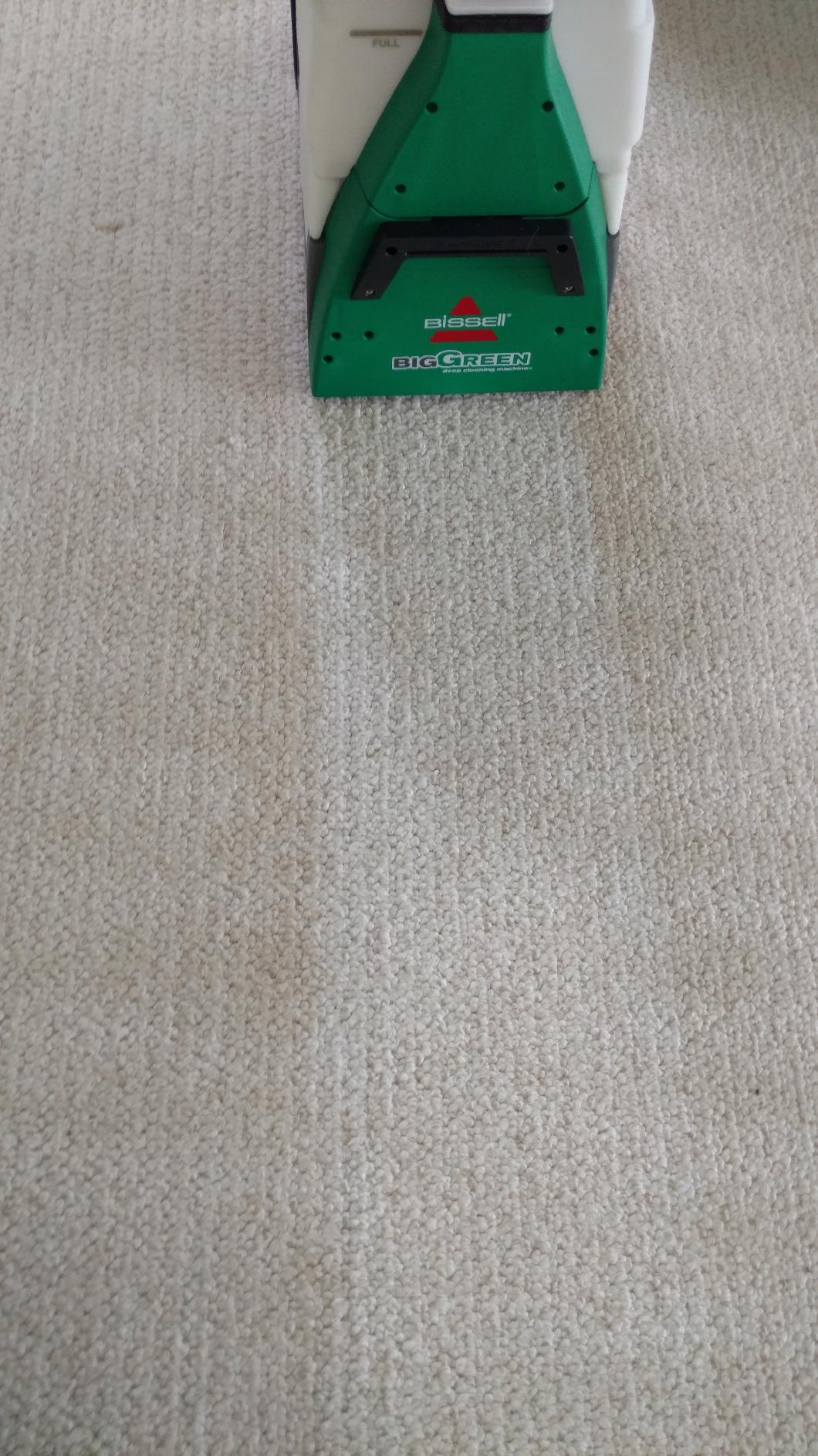 BISSELL Big Green PET PRO Carpet Cleaner, XL DirtLifter PowerBrush | 8-row PowerBrush; 9-in. hose; 2 upholstery tools; Pet Pro Oxy Urine Eliminator Formula included customer photo 1