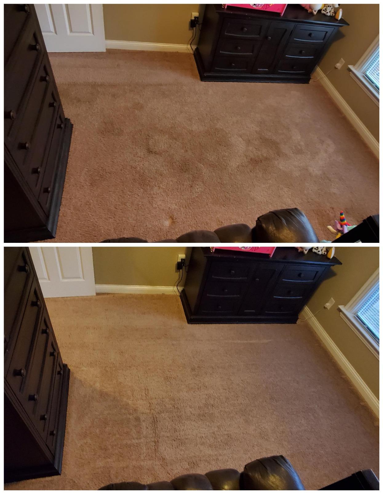BISSELL Big Green PET PRO Carpet Cleaner, XL DirtLifter PowerBrush | 8-row PowerBrush; 9-in. hose; 2 upholstery tools; Pet Pro Oxy Urine Eliminator Formula included customer photo 2