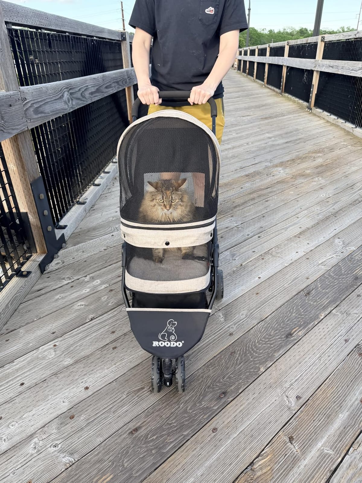 ROODO 3 Wheel Pet Stroller Best Lightweight Foldable Compact Portable Jogger All Terrain Travel Pet Gear Puppy Kitty Stroller for up to 30lbs Medium Small Dogs and Cats(Green) customer photo 2