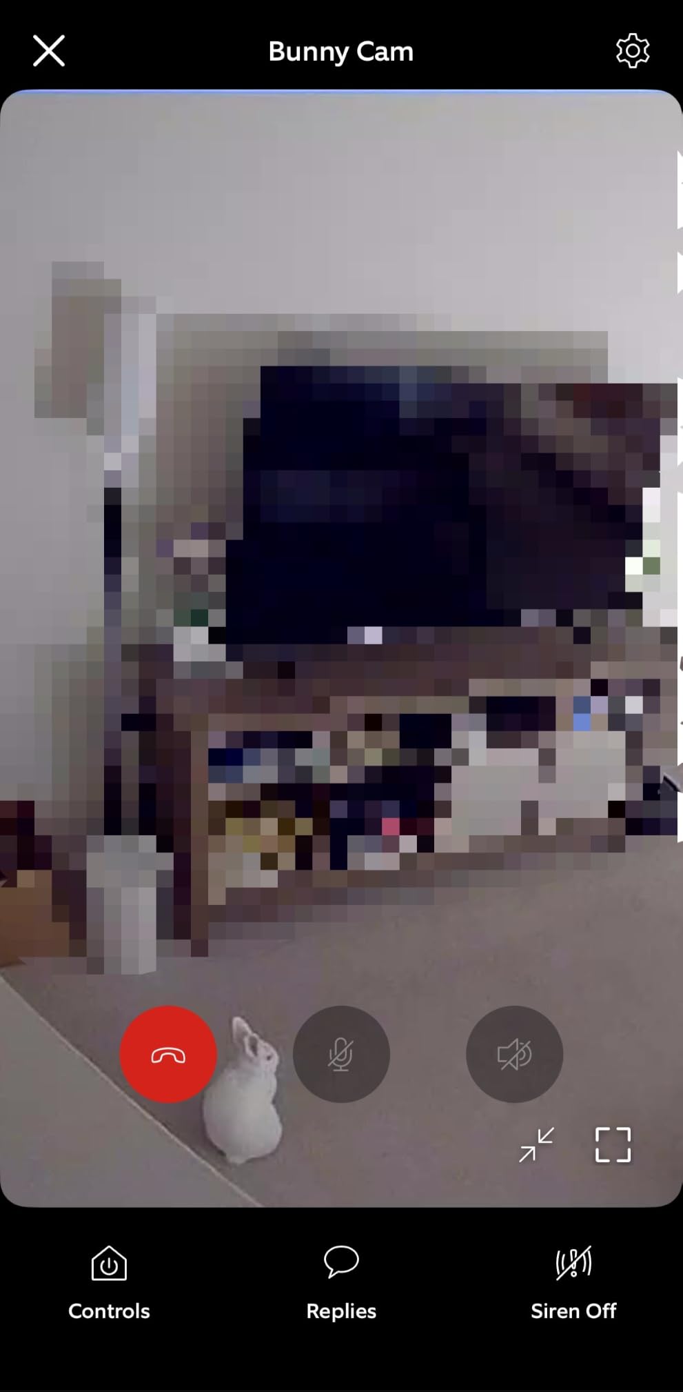 Ring Indoor Cam (newest model) - Home or business security in 1080p HD video, White customer photo 1
