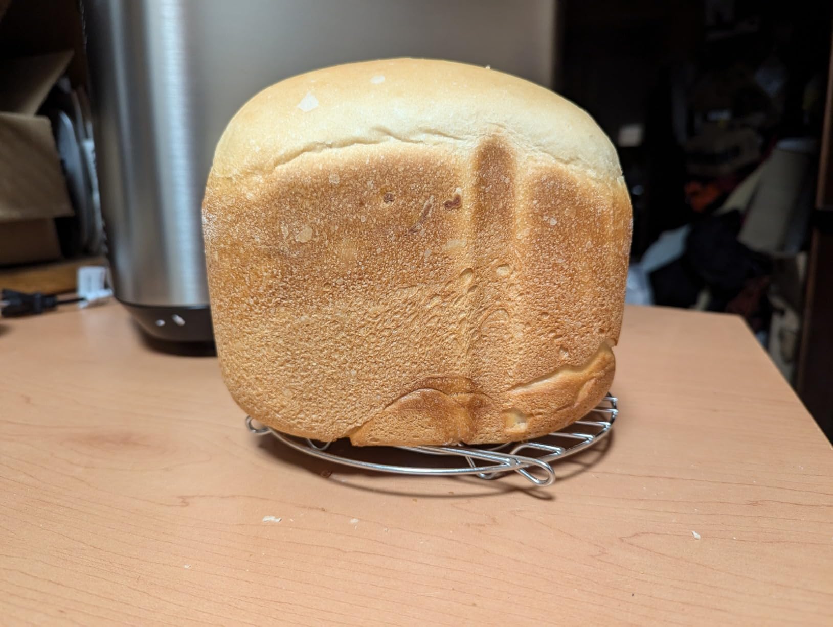 Panasonic SD-R2550 Bread Machine, Automatic Bread Maker with 20 Presets and Advanced Temperature Sensor customer photo 1