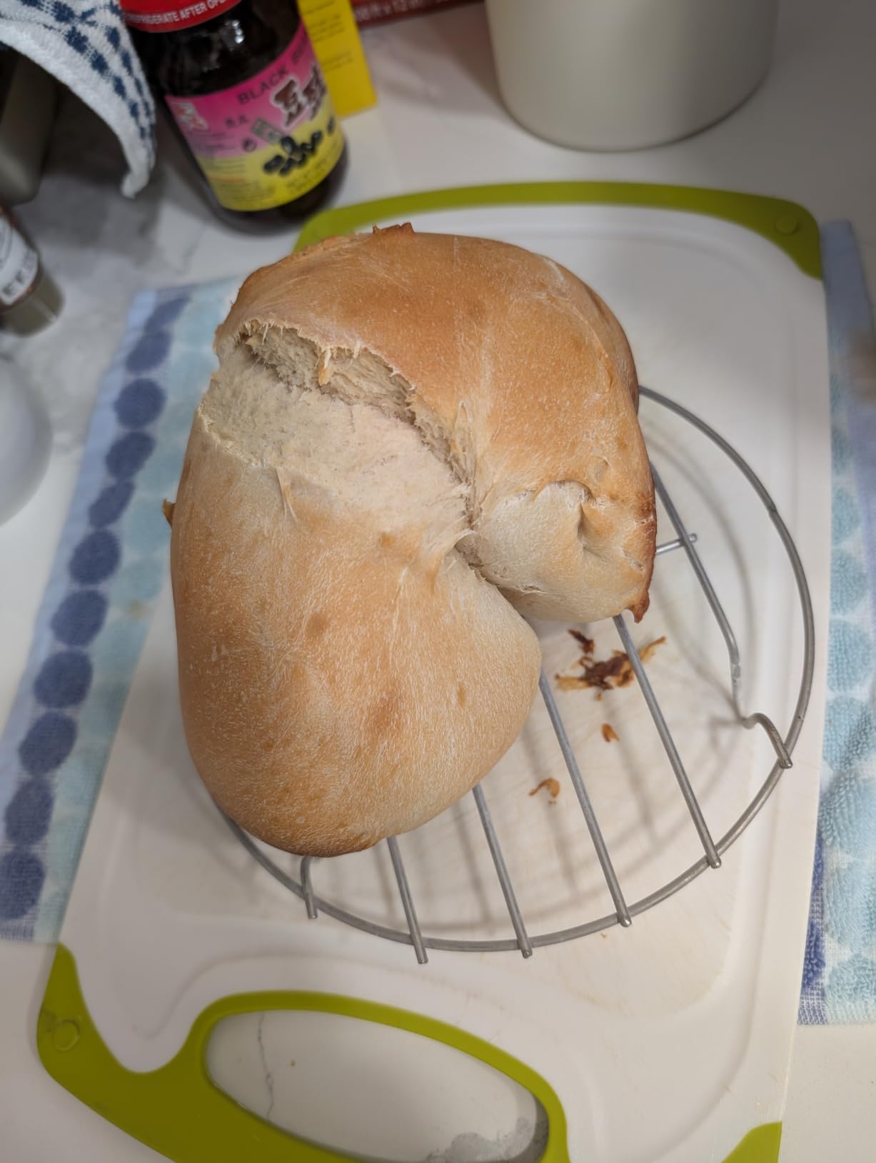Panasonic SD-R2550 Bread Machine, Automatic Bread Maker with 20 Presets and Advanced Temperature Sensor customer photo 2