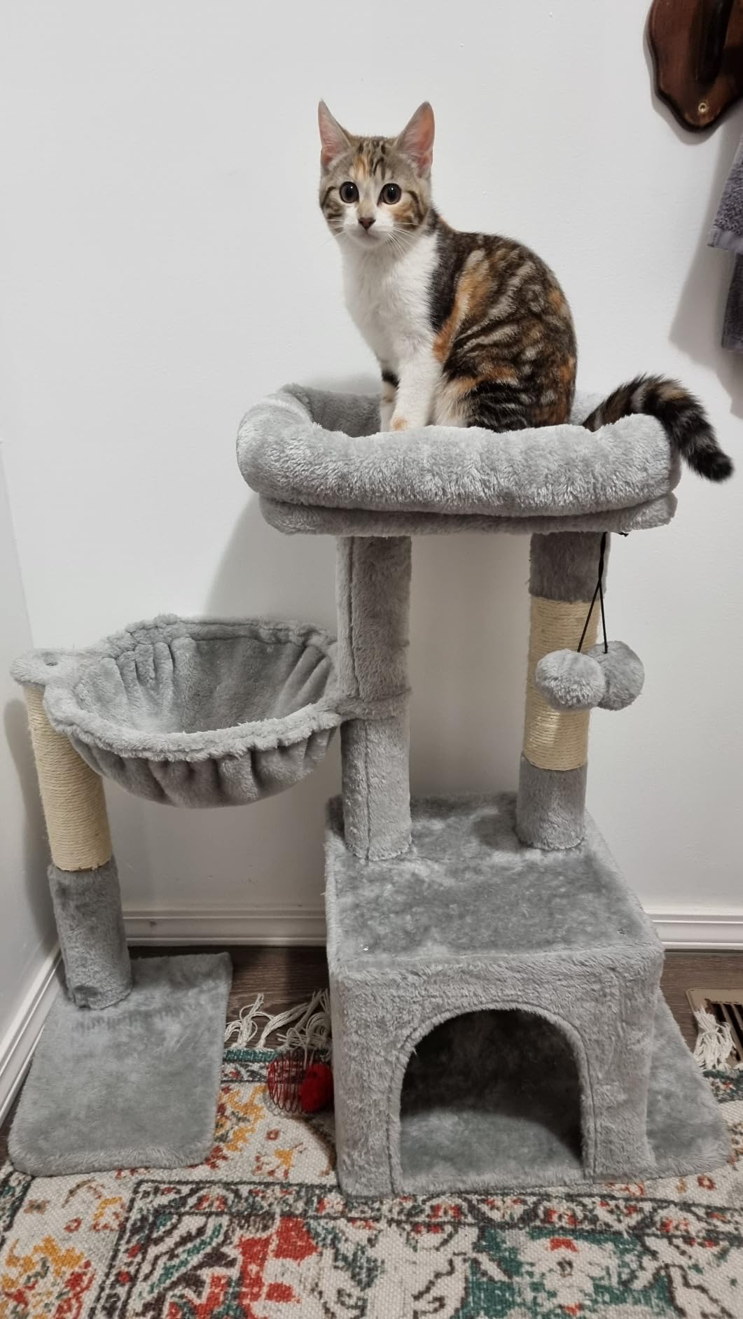 Pesofer Cat Tree, Small Cat Tower with Sisal Scratching Post and Hammock Light Gray customer photo 2