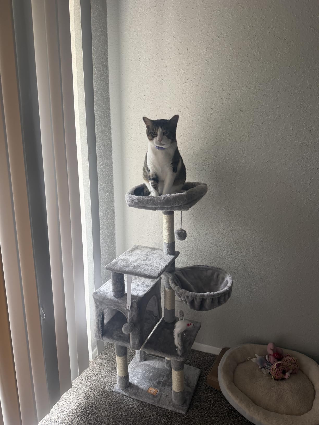 Heybly Cat Tree with Toy, 43.3 inch Cat Tower for Indoor Cats HCT004SG customer photo 1