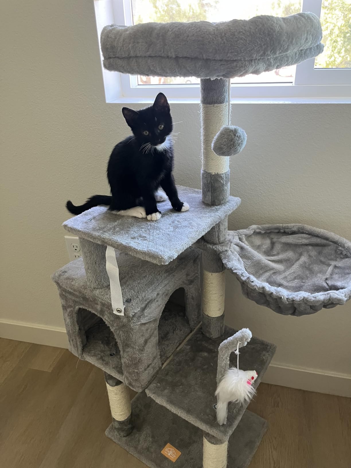 Heybly Cat Tree with Toy, 43.3 inch Cat Tower for Indoor Cats HCT004SG customer photo 2