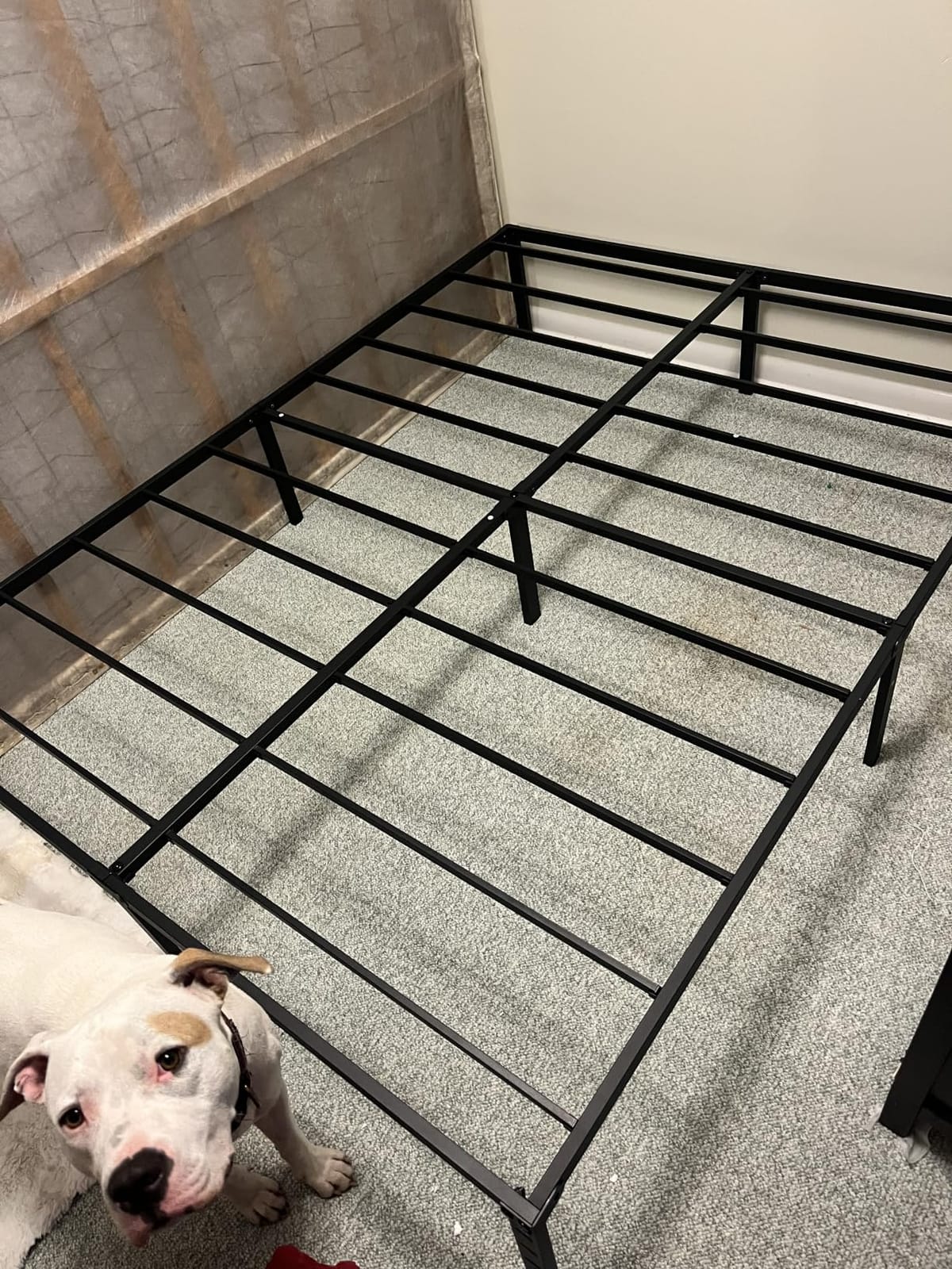 NEW JETO Metal Bed Frame, Queen Size Bed Frame with Storage Space, 14 Inch | Heavy Duty Sturdy Mattress Foundation, Easy Assembly, No Box Spring Needed, Black customer photo 2