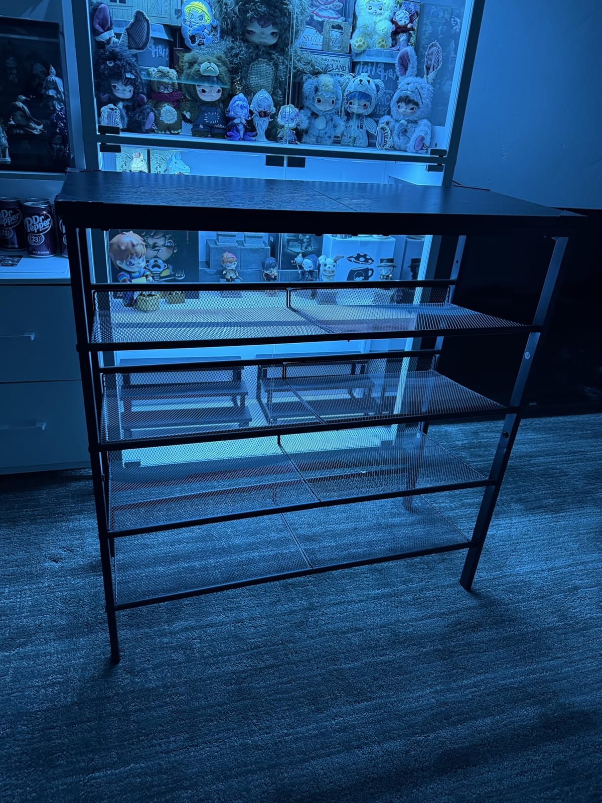 HOOBRO Shoe Rack for Entryway, 5-Tier Shoe Organizer with Adjustable Mesh Shelves, 16-20 Pairs of Shoes, Spacious Floor Mount, Metal, Industrial, Shoe Shelf for Closet, Rustic Brown BF12XJ01 customer photo 1