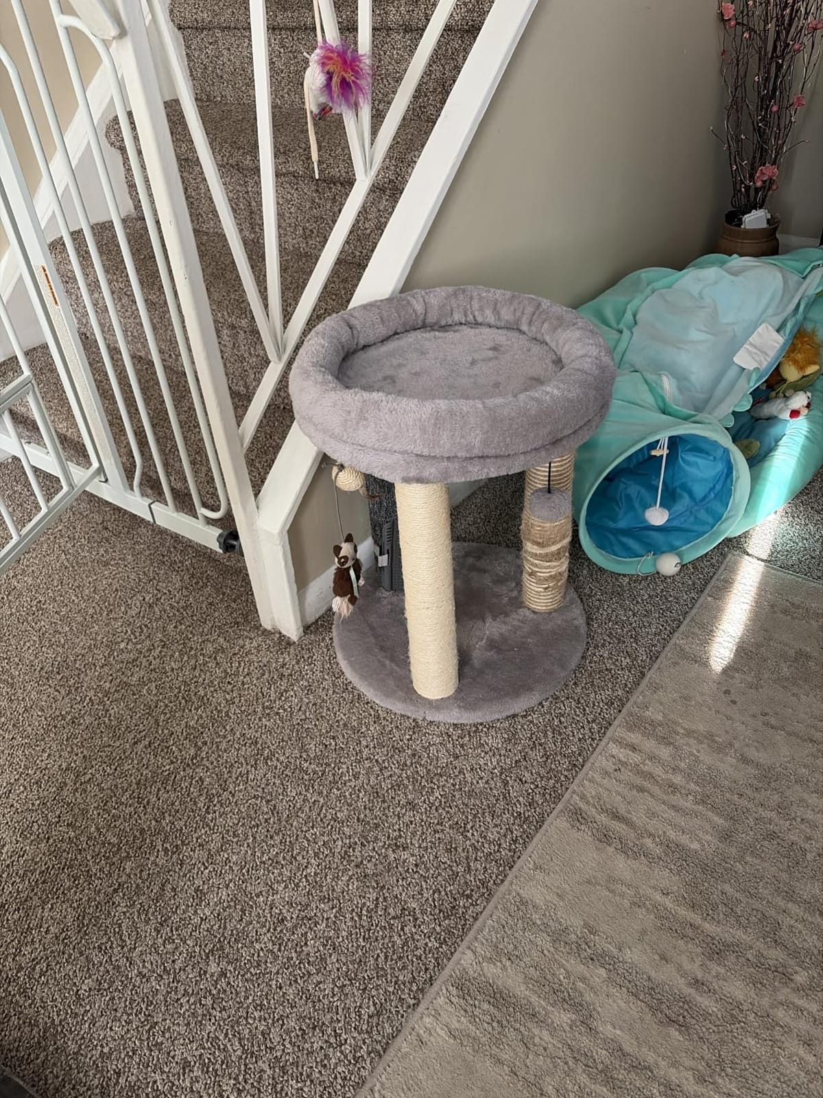MECOOL 4in1 Small Cat Tree, Scratching Post with Tower Soft Bed, Sisal Carpet Jute Posts with Three Hanging Ball Toys and Massage Brush for Indoor Cats and Kittens customer photo 1