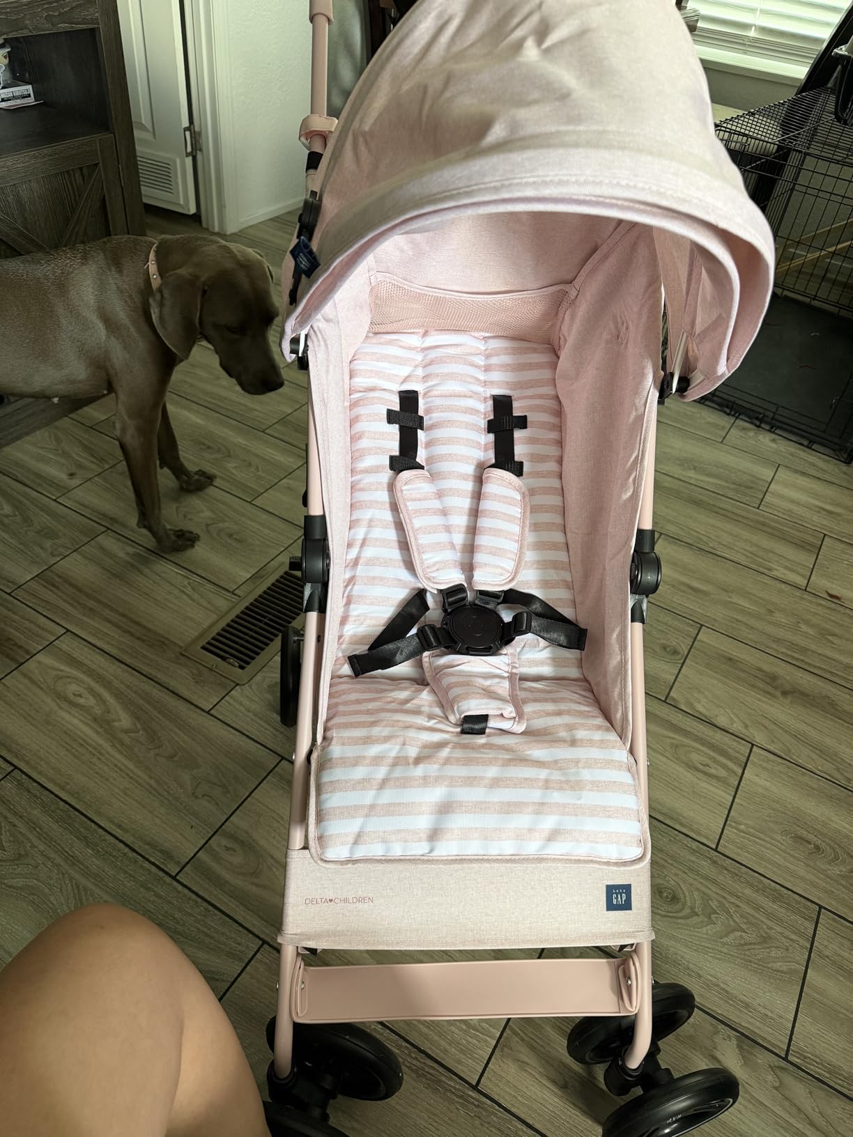 babyGap Classic Stroller - Lightweight Stroller with Recline, Compact Fold & Removable Parent Organizer - Made with Sustainable Materials, Pink Stripes customer photo 1