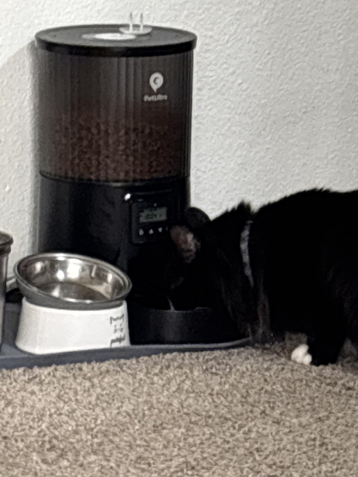 PETULTRA Automatic Cat Feeder: 4L Timed Cats Food Dispenser Programmable, Easy to Set, Dual Power, Precise Portion, Auto Pet Feeder with Desiccant Bag, Detachable Washable for Cats and Small Dog customer photo 1