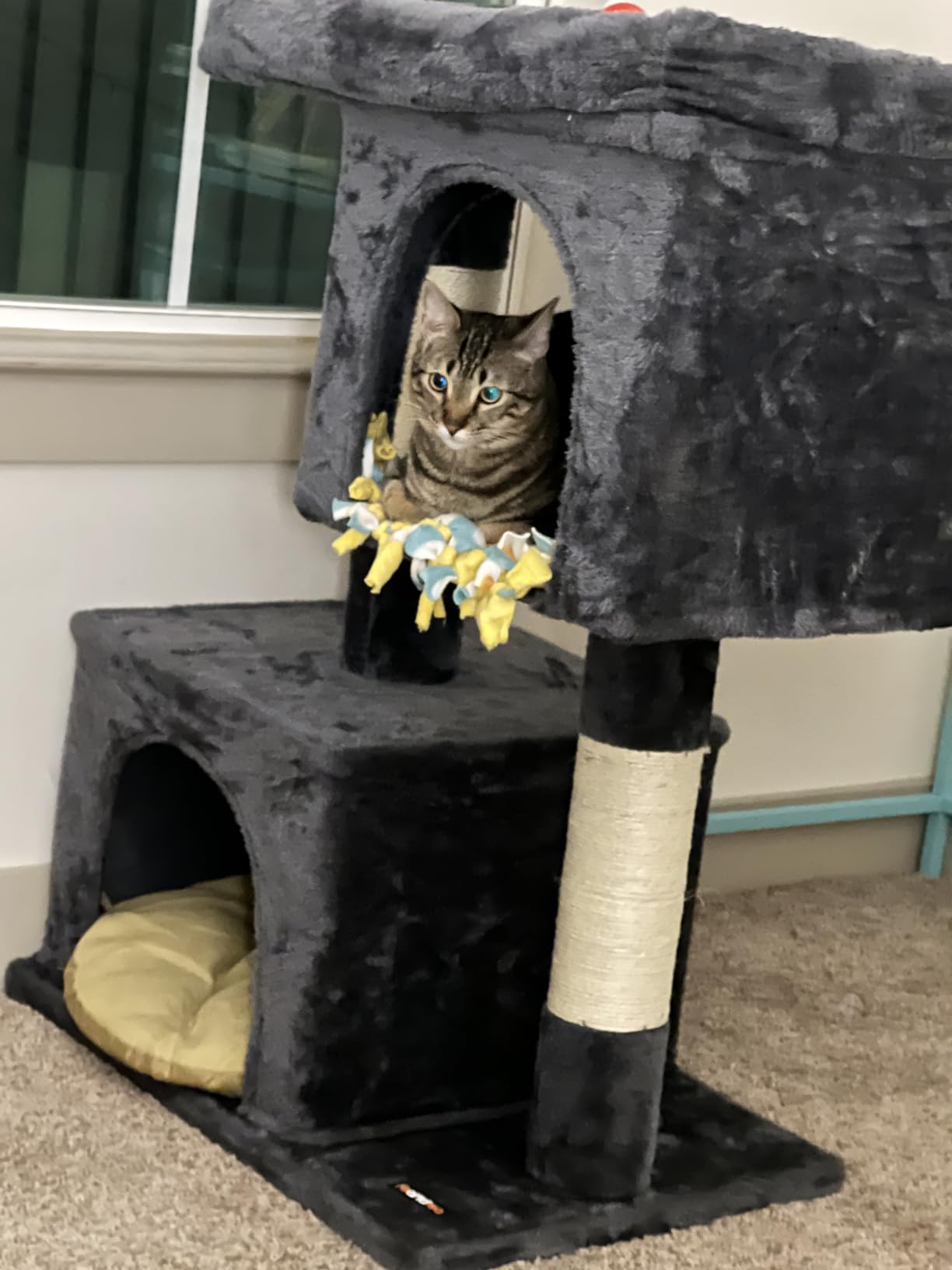 Feandrea Cat Tree, 26.4-Inch Small Cat Tower, Cute Plush Condo, Smoky Gray | for Kittens up to 7 lb, with 2 Sisal Scratching Posts, Cozy Perches, 2 Spacious Cave, Easy to Assemble, UPCT611G01 customer photo 1