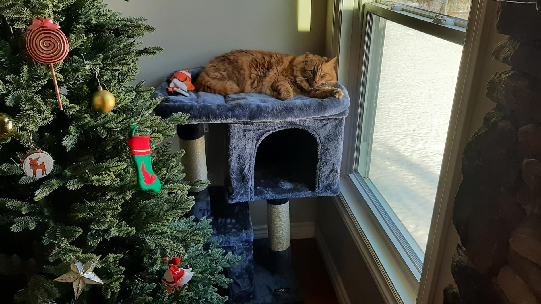Feandrea Cat Tree, 26.4-Inch Small Cat Tower, Cute Plush Condo, Smoky Gray | for Kittens up to 7 lb, with 2 Sisal Scratching Posts, Cozy Perches, 2 Spacious Cave, Easy to Assemble, UPCT611G01 customer photo 2