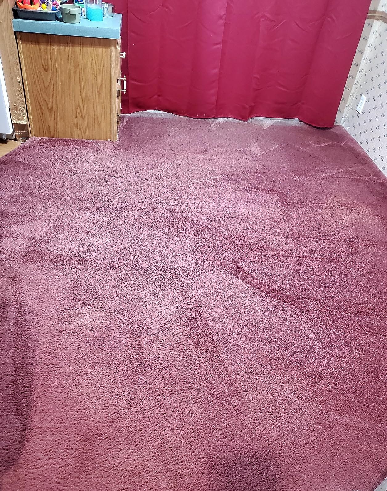 BISSELL Revolution HydroSteam Pet Carpet Cleaner, 3432 | HydroSteam technology; 2-in-1 pet upholstery tool; cleaning formulas included; upright deep cleaner customer photo 2