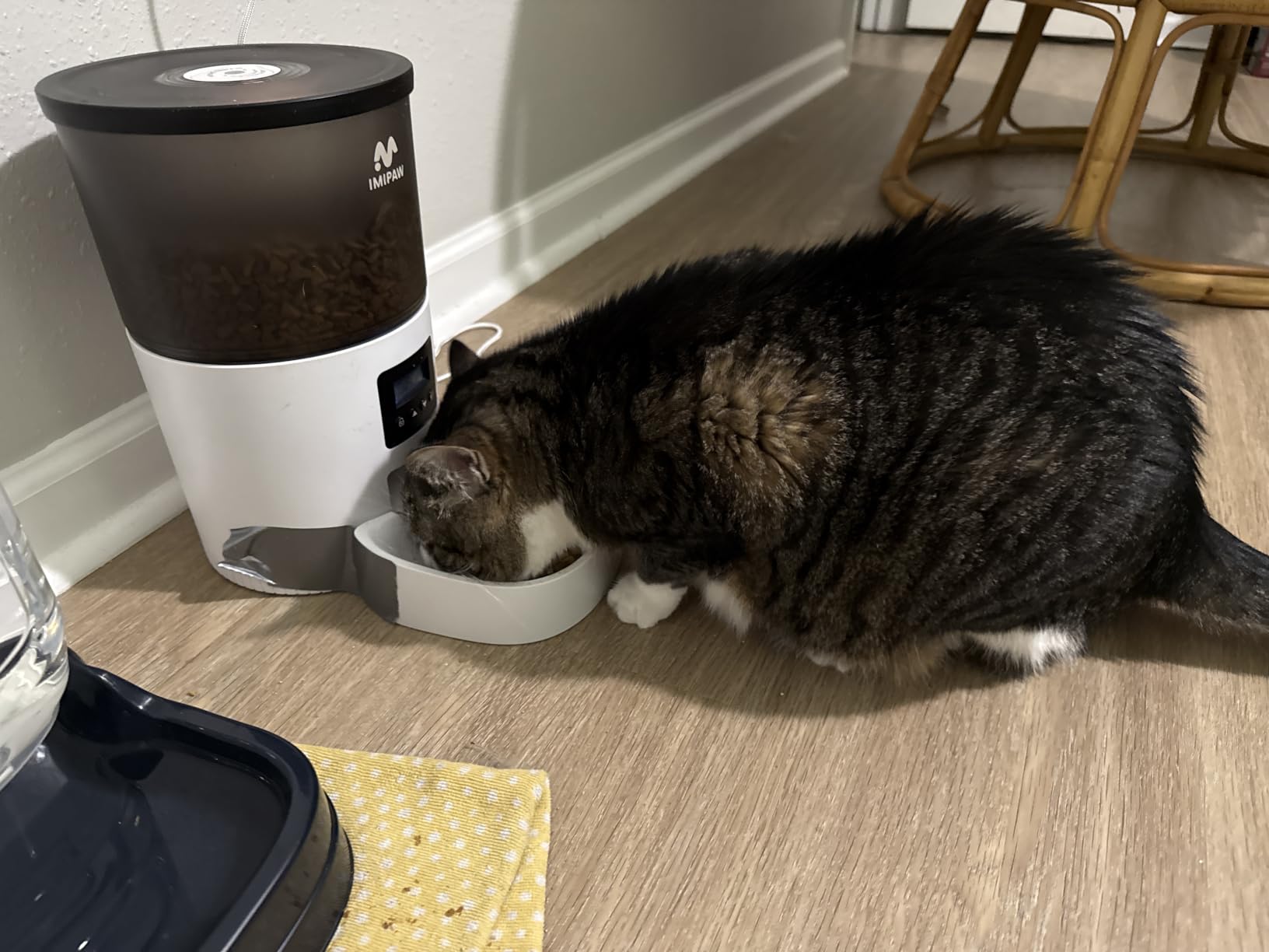 IMIPAW Automatic Cat Feeders, Timed Cat Dry Food Dispenser with Desiccant Bag, Dual Power Supply, Programmable Portion Size, 6 Meals, 20 Portions Per Day, Auto Pet Feeder for Cats and Small Dog, White customer photo 2