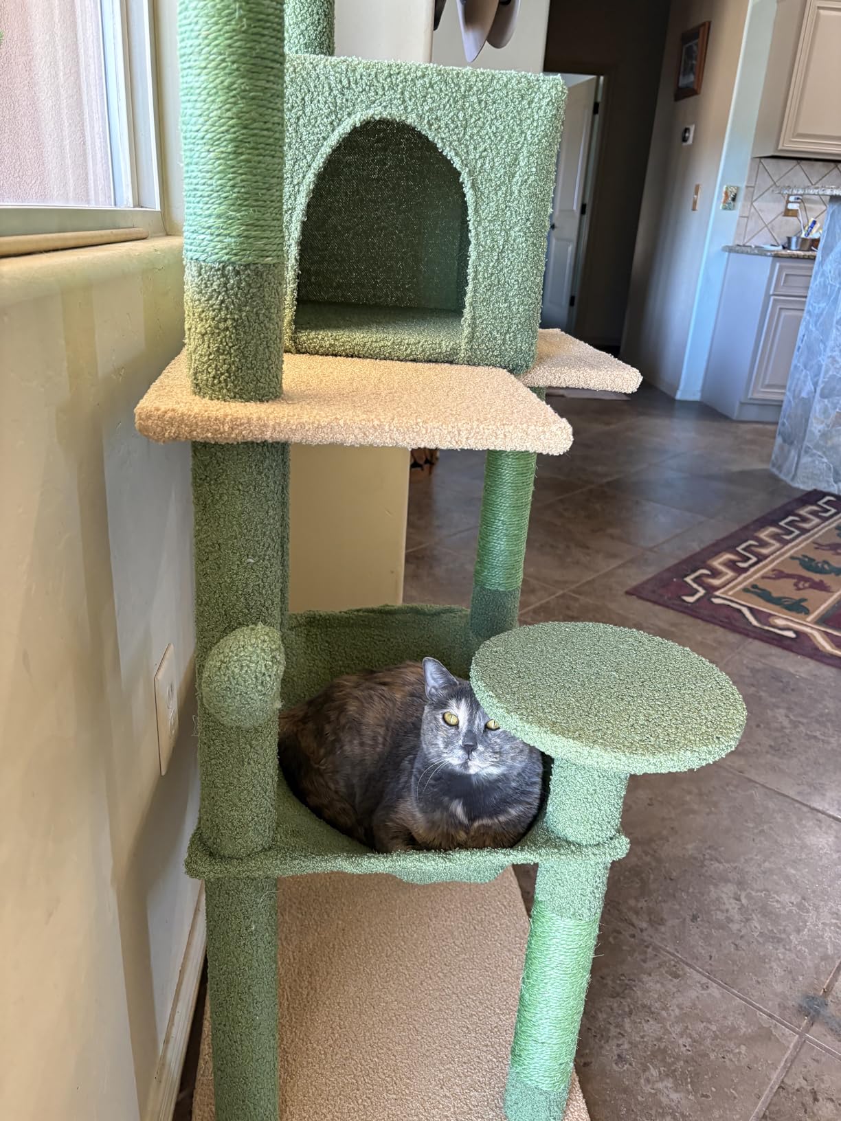 MUTTROS Cat Tree for Large Cats Adult with Metal Plush Big Hammock, 56.3