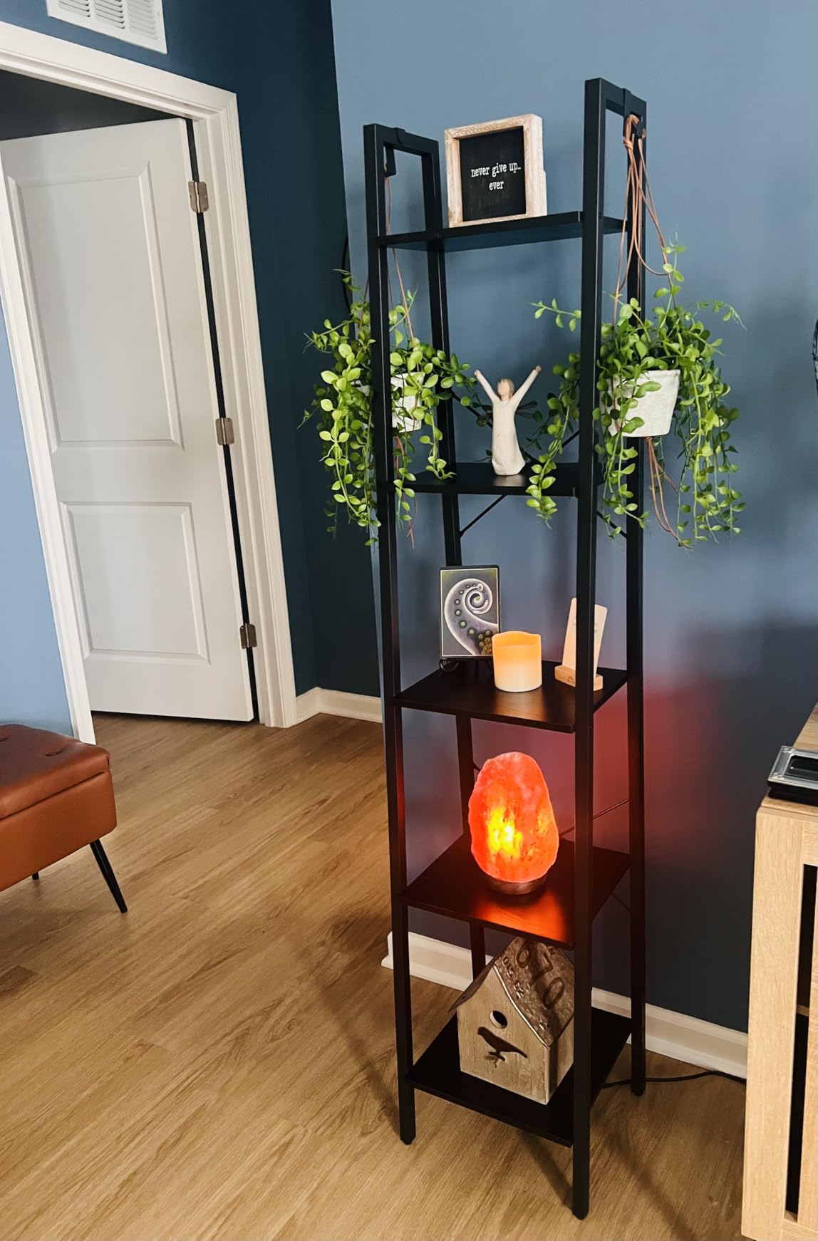 Hzuaneri Ladder Shelf, Bookshelf, Freestanding Corner Storage Shelf customer photo 1