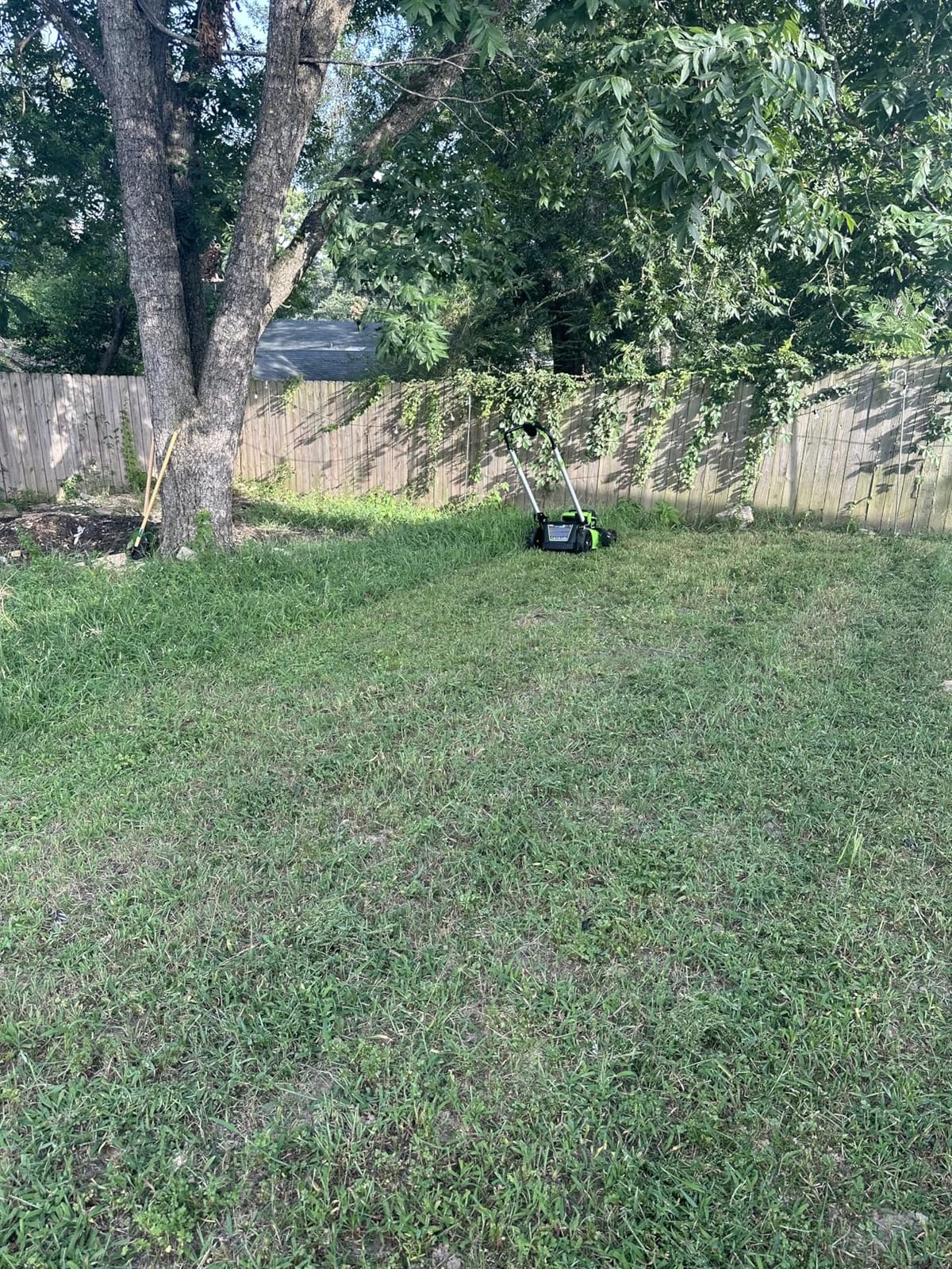 Greenworks 60V 21in Push Lawn Mower, 5.0 Ah Battery and Charger customer photo 2