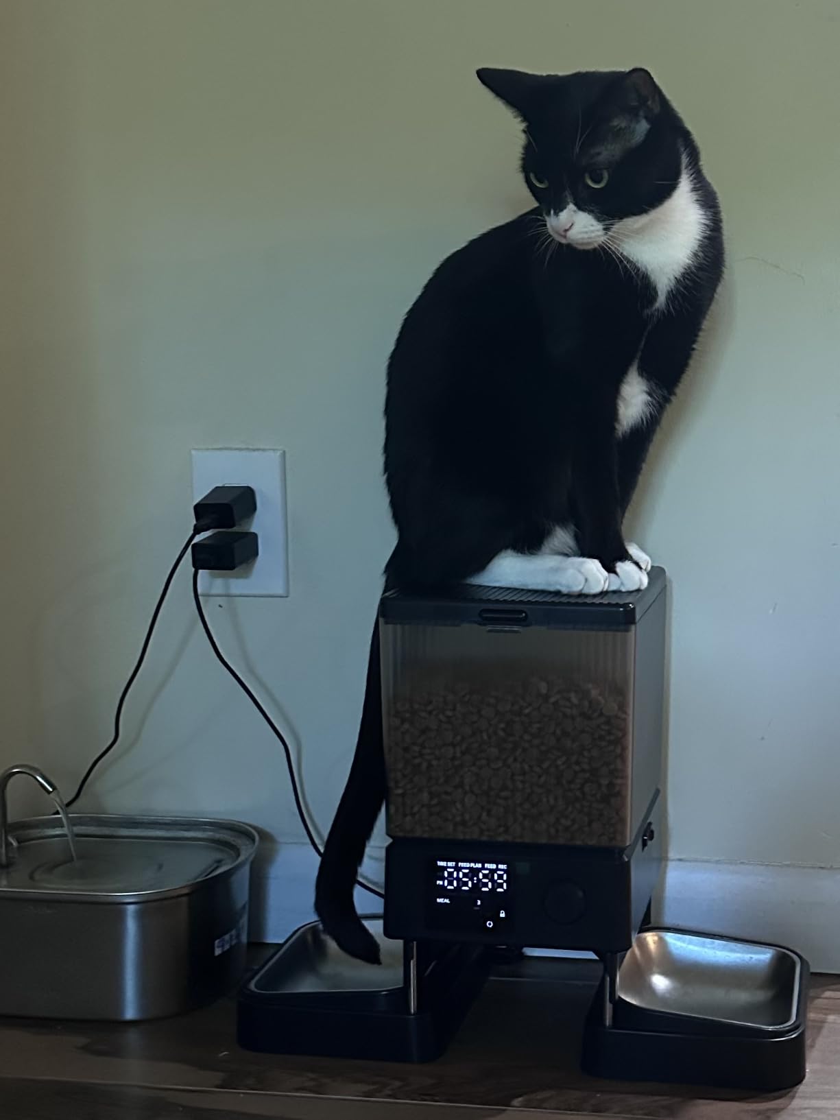 oneisall Automatic Cat Feeder for 2 Cats Pets, Timed Cat Food Dispenser | 20 Cups/5L, Prevent Fighting, Precise Portion, Balanced Dispense, Non-Slip & Stable, Voice Recorder, Stainless Steel Bowls customer photo 1
