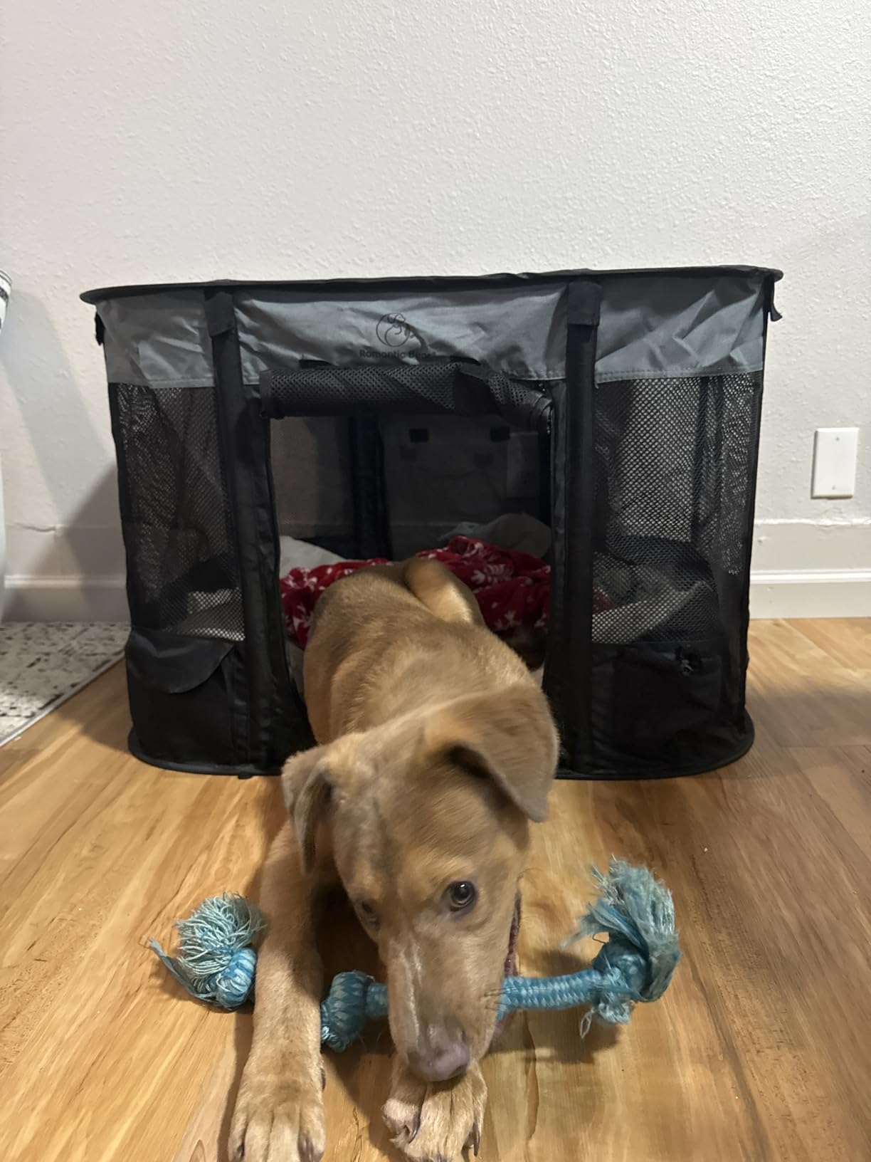 ROMANTIC BEAR Dog Playpen,Foldable Pet Puppy Cat Playpen,L(40