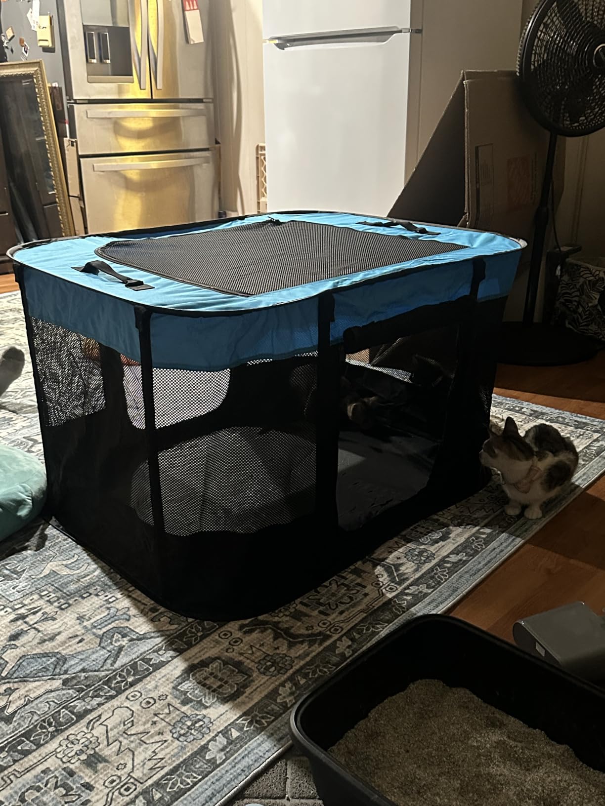 ROMANTIC BEAR Dog Playpen,Foldable Pet Puppy Cat Playpen,L(40