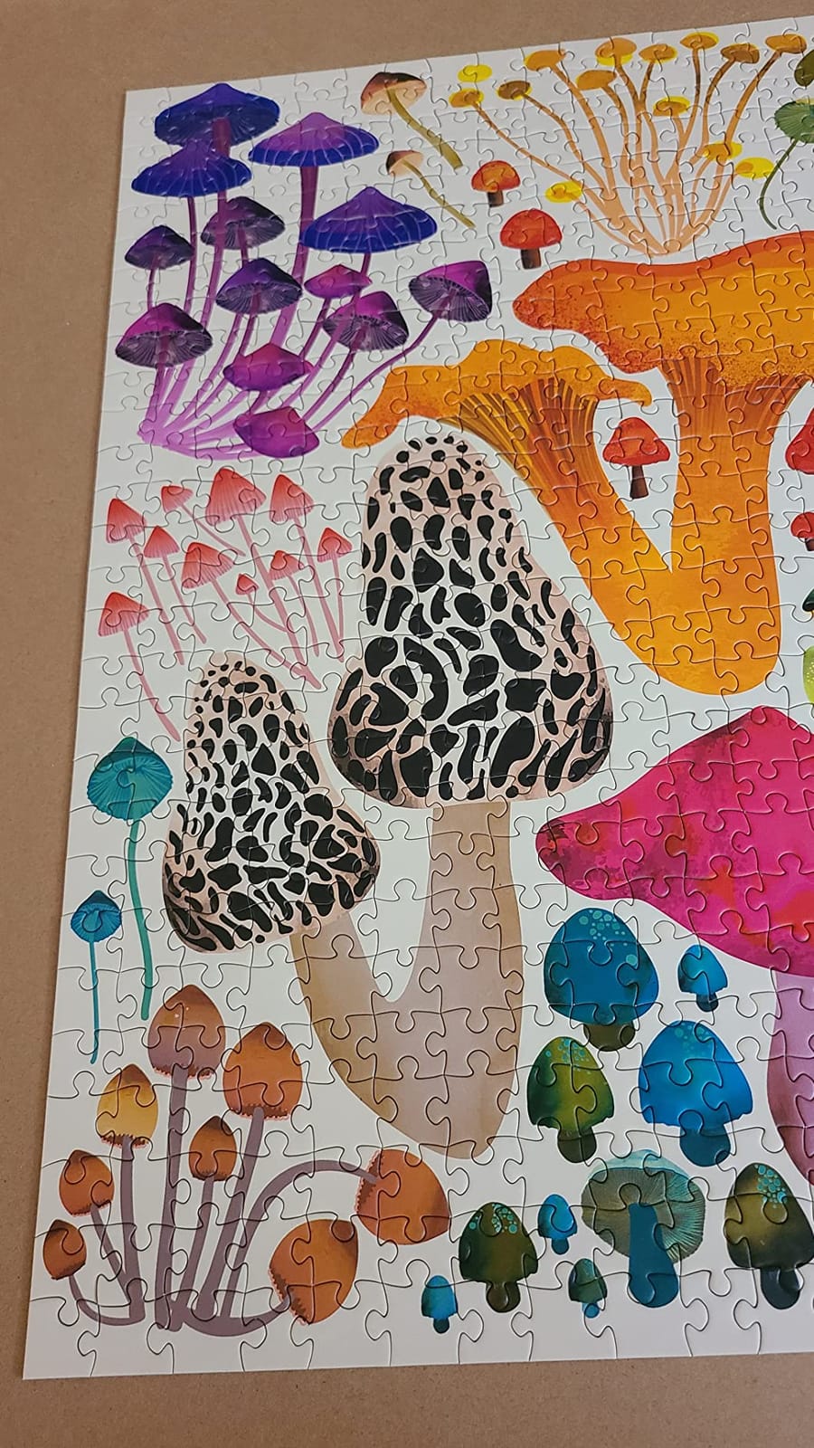 Elena Essex 1000 piece Puzzle for Adults - Flowers in Bloom | Colorful Floral Rainbow Gradient Jigsaw customer photo 1