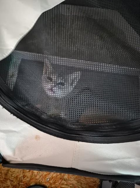 Siedihit Dog Cat Playpen, Puppy Pet Playpen Indoor for Small Dog Crate Tent Cage Outdoor, Portable Pop Up Dogs Enclosure Kennel with Carrying Case for Dogs/Cats/Rabbits(Grey, Small) customer photo 2