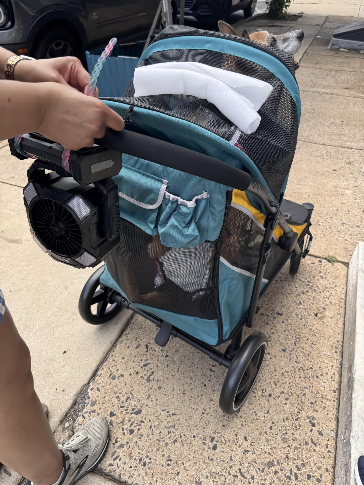 Petbobi Dog Stroller for Large Medium Dogs up to 80 lbs, Dual Entry | One-Hand Fold, One-Foot Brake, All Terrain 360 Swivel Front Wheel, Heavy Duty Air Mesh Wagon, Low Step-In for Senior Pets customer photo 1