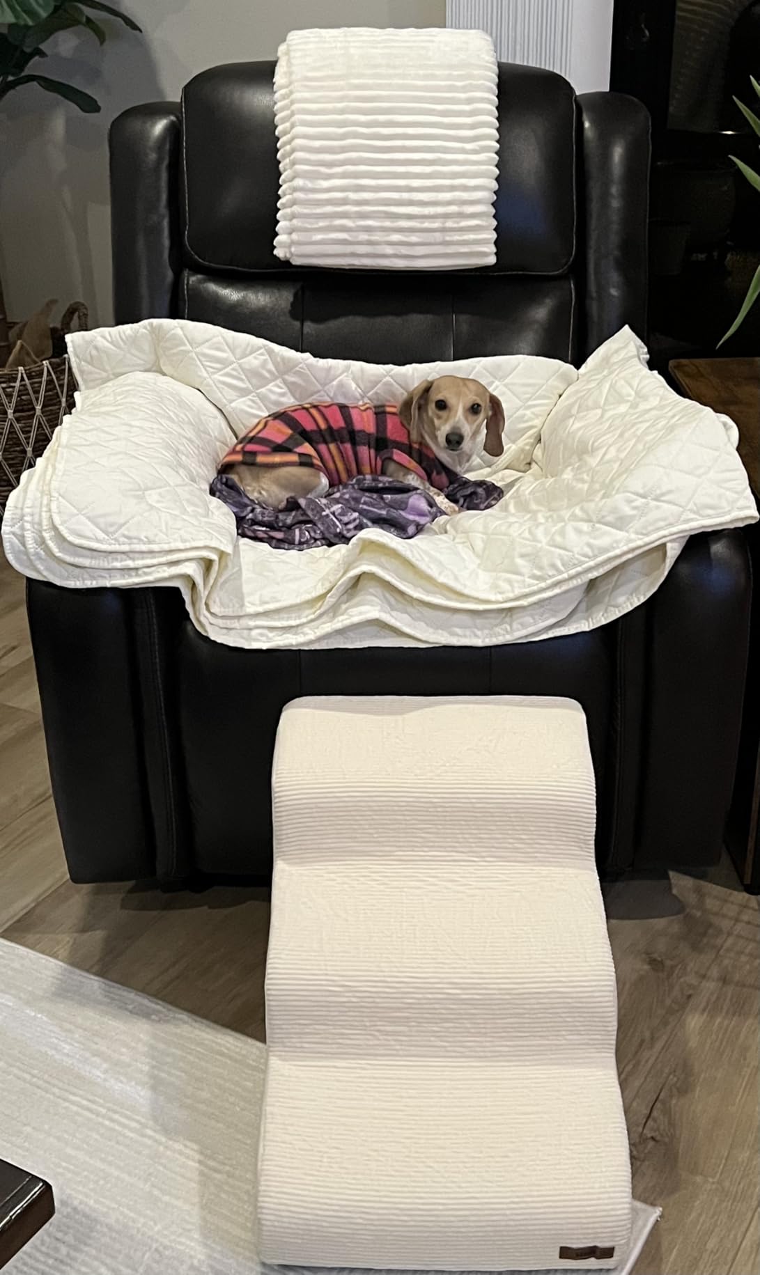 Lesure Dog Stairs for Small Dogs, Beige, 4 Step Pet Ramp for Bed and Couch | 33D CertiPUR-US Certified Foam, Indoor and Car Use, Non-Slip Bottom, Removable Cover, Machine Washable customer photo 2