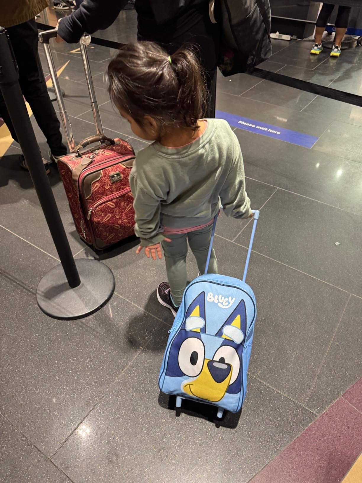 Bluey Kids Rolling Suitcase, 16 x 13 x 4 inches, Luggage for Girls and Boys, Travel Bag with Extendable Handle and Wheels, Gifts for Kids customer photo 1