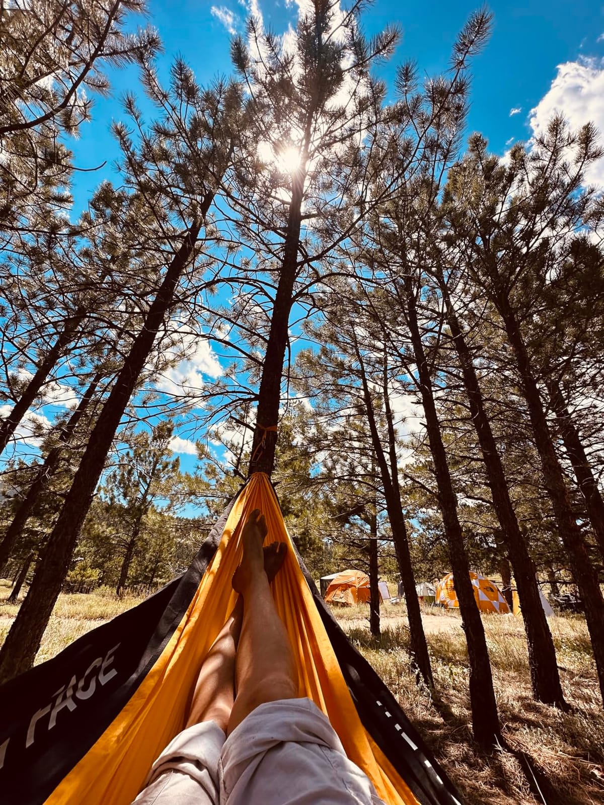 THE NORTH FACE Wawona Camp Hammock, Summit Gold/TNF Black, One Size | Includes Carabiners & Tree Straps for Easy Setup, Storage Bag Doubles as Pocket customer photo 1