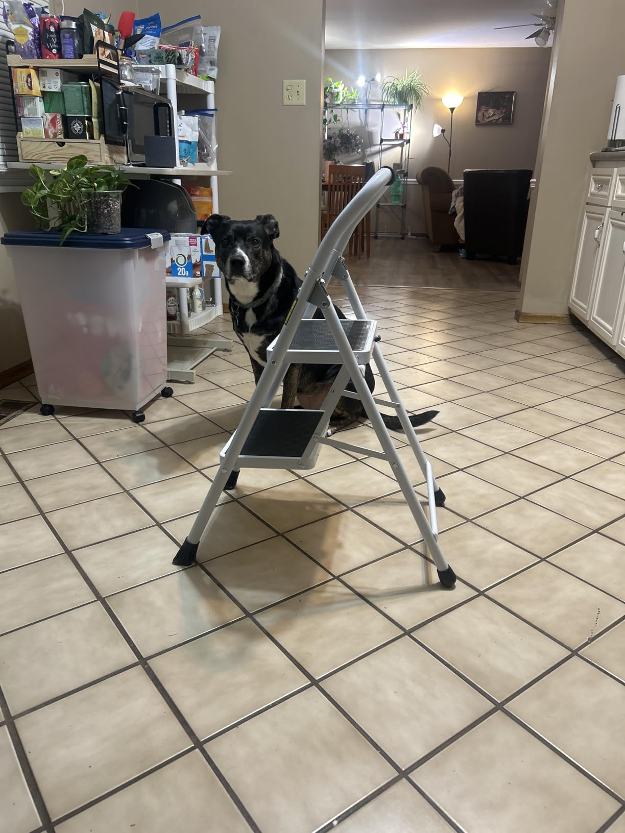 HBTower 3 Step Ladder, 3 Step Stool for Adults Folding Step Stool customer photo 2