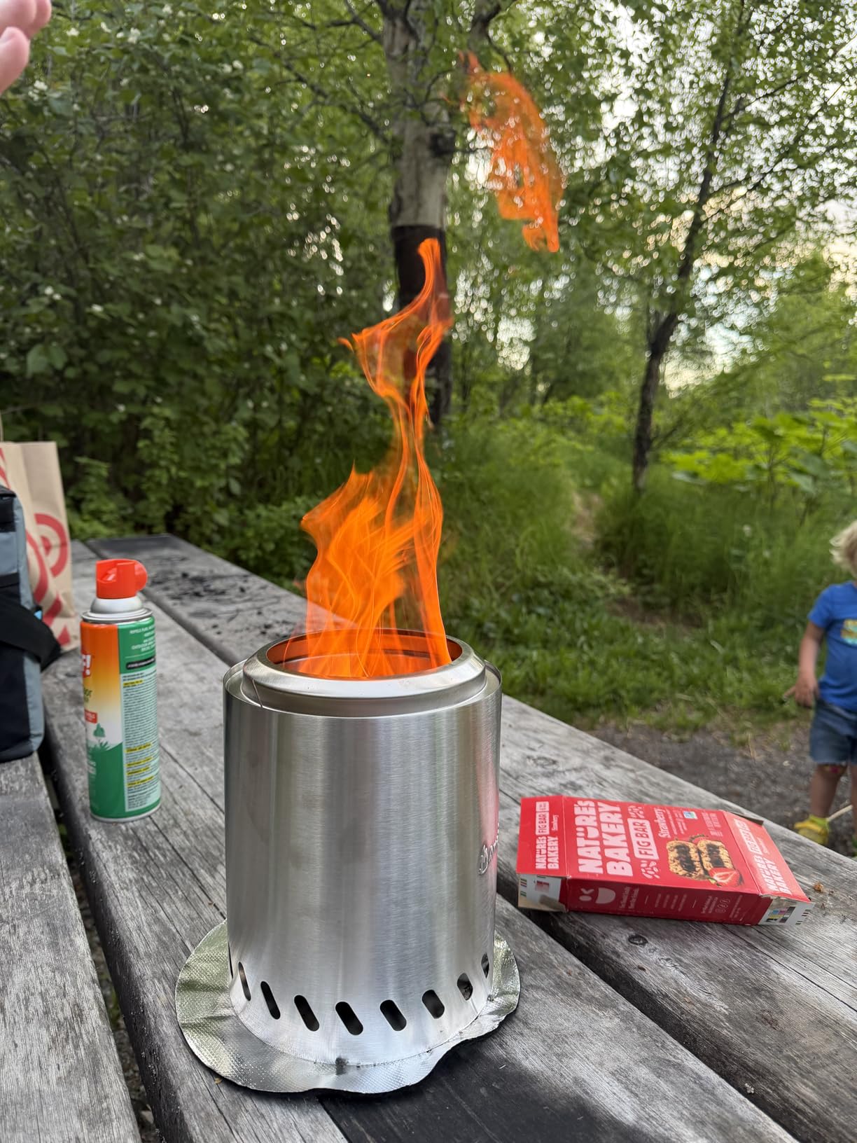 9.7 x 7.1 Inch Tabletop Fire Pit by AmazStove, Low Smoke Camping Stove for Outdoor Safe Burning Firepits, Fueled Pellets or Wood, Travel Bag Included (Silver, 9.7 x 7.1 INCH) customer photo 1