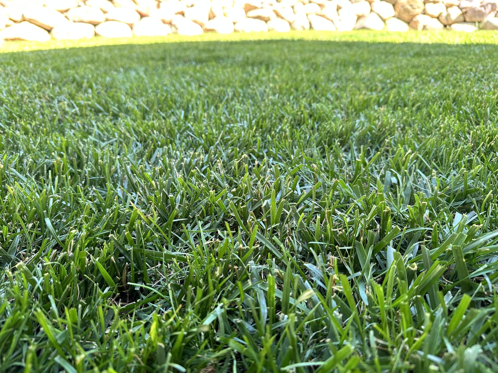 Greenworks 80V 21in Self-Propelled Lawn Mower, 4.0 Ah Battery and Charger customer photo 2