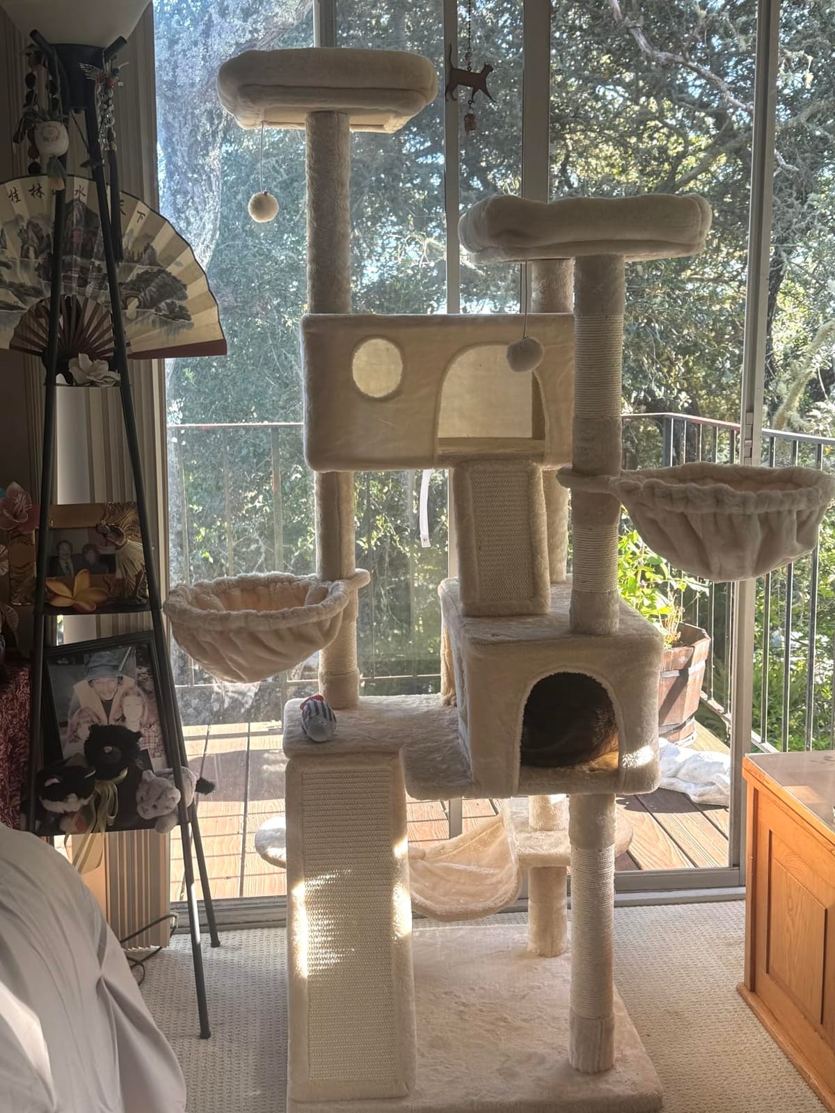 SHA CERLIN 65in Larger Cat Tree Tower Condo for Indoor Kitties/Multi-Level Furniture Activity Center with Wide Base/Cozy Plush Cat Perches/Baskets/Sisal Scratching Posts and Hammock/Beige customer photo 2