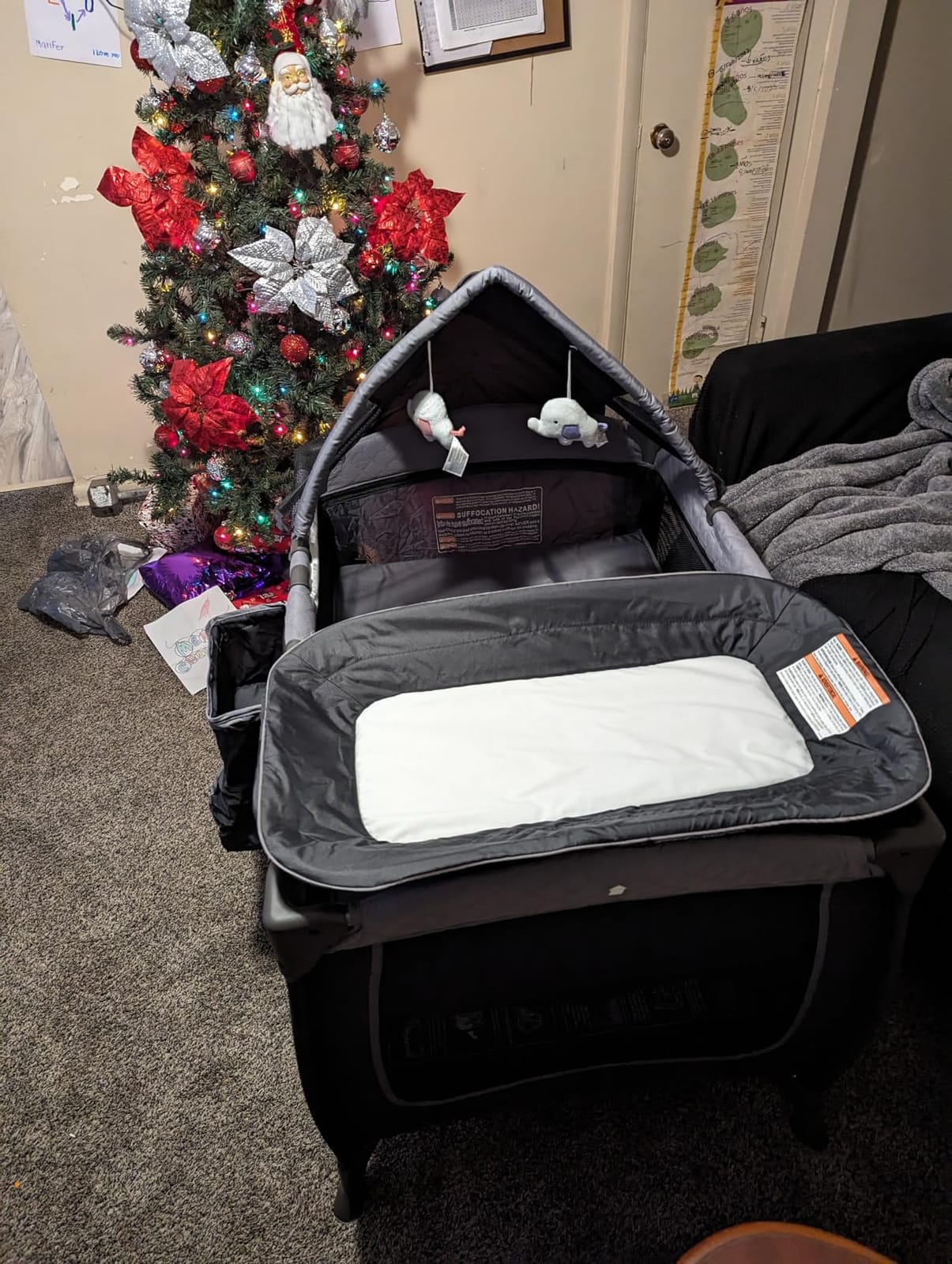 Pamo Babe Baby Playard with Canopy, Portable Crib with Changing Table customer photo 2