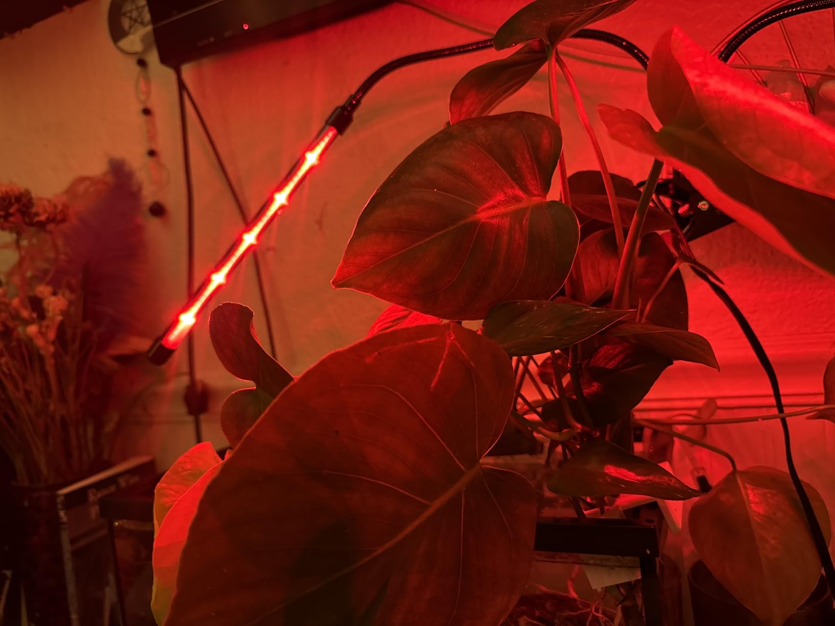 EWPJDK Grow Light 6500K Full Spectrum Plant Grow Lights 84 LED Plant Light with Clip Grow Lamp for Indoor Plants Growing Lamps(1PCS) customer photo 2