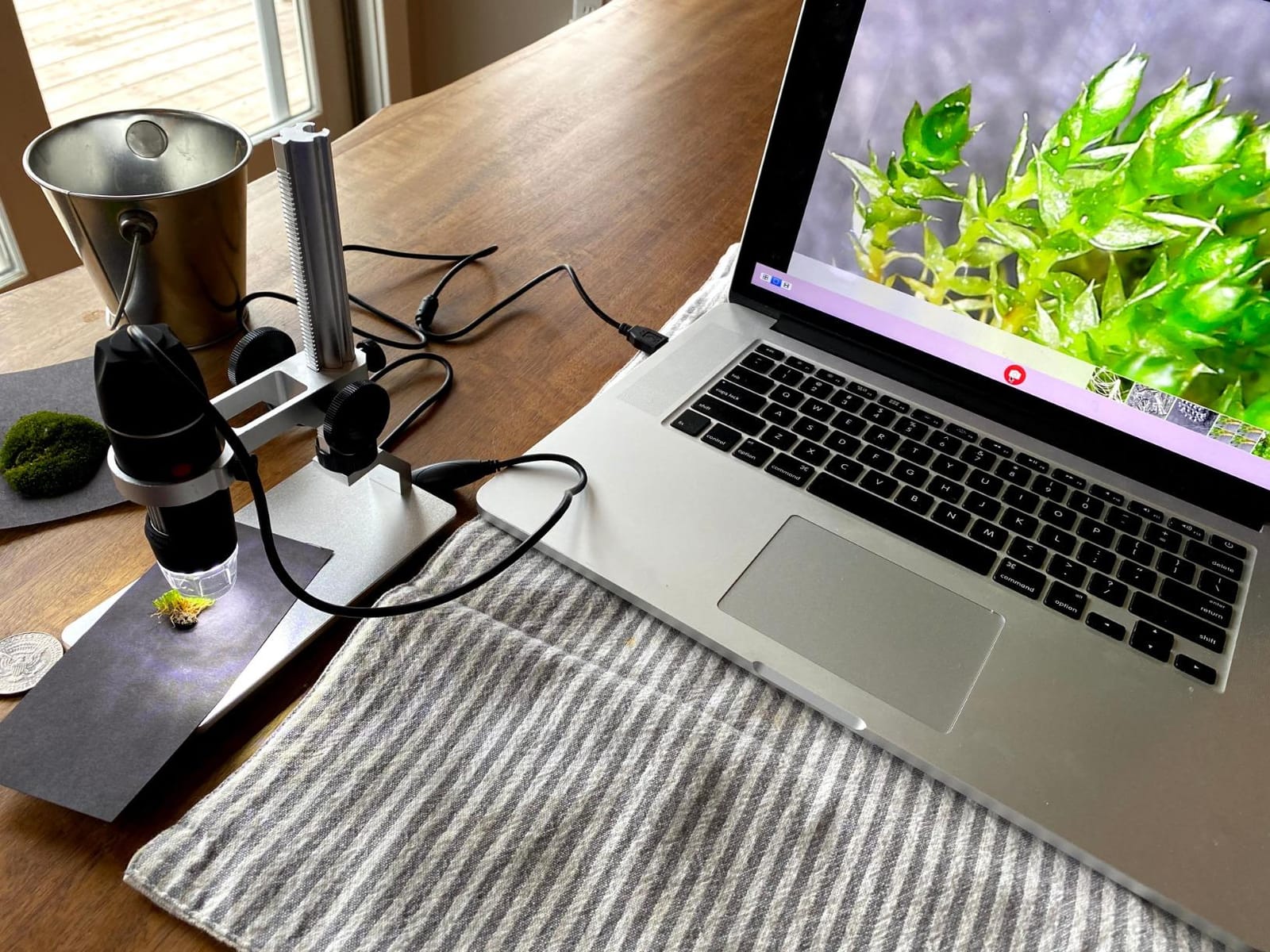 Jiusion 4K 50-1000x WiFi USB Digital Handheld Microscope with Metal Stand customer photo 2
