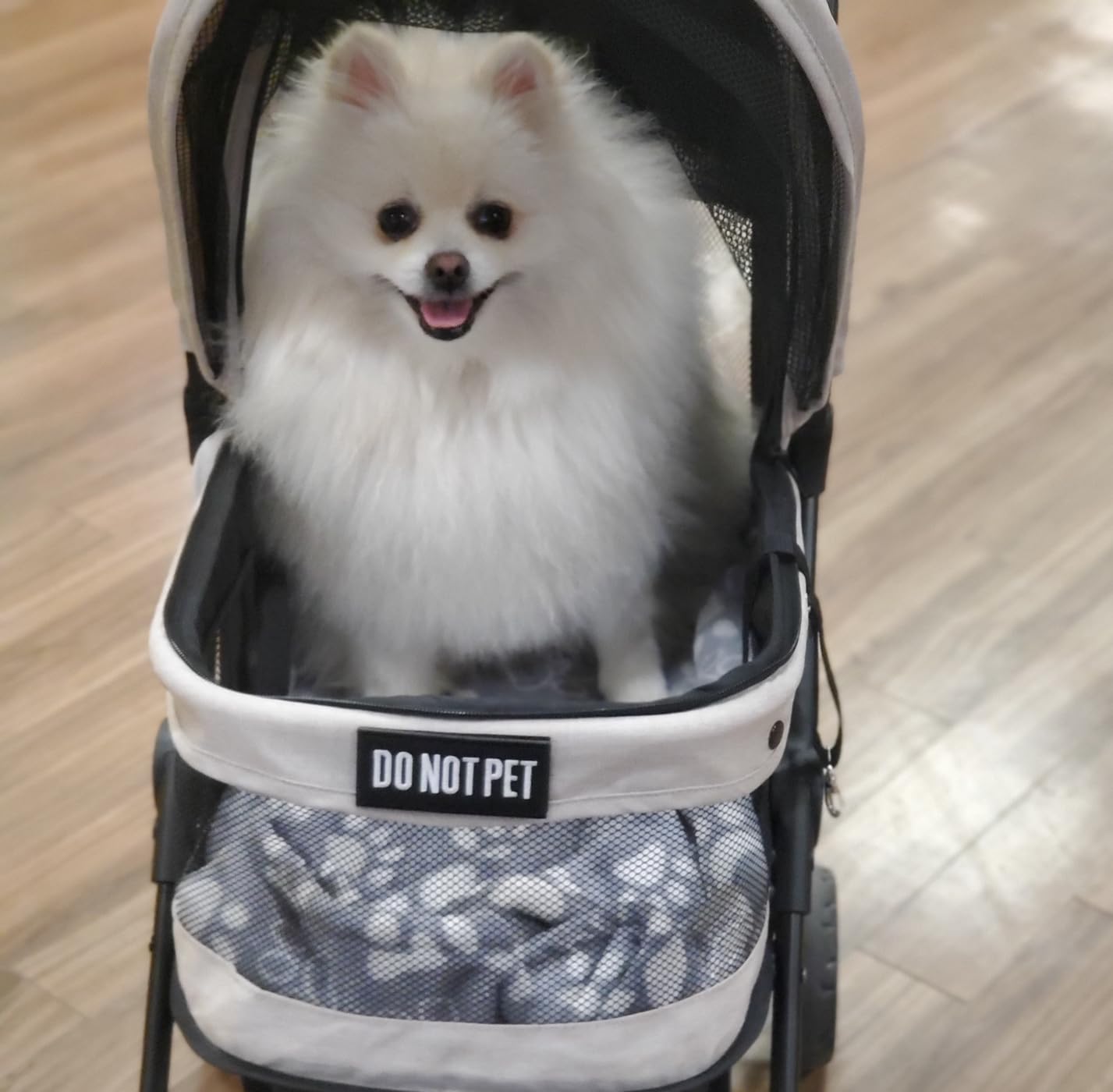 ROODO 4 Wheel Dog Cat Pet Stroller Best Lightweight Foldable Compact Portable Jogger All Terrain Travel Pet Gear Puppy Dogie Bunny Kitty Stroller for up to 30lbs Medium Small Dogs Cats (Sage Green) customer photo 1