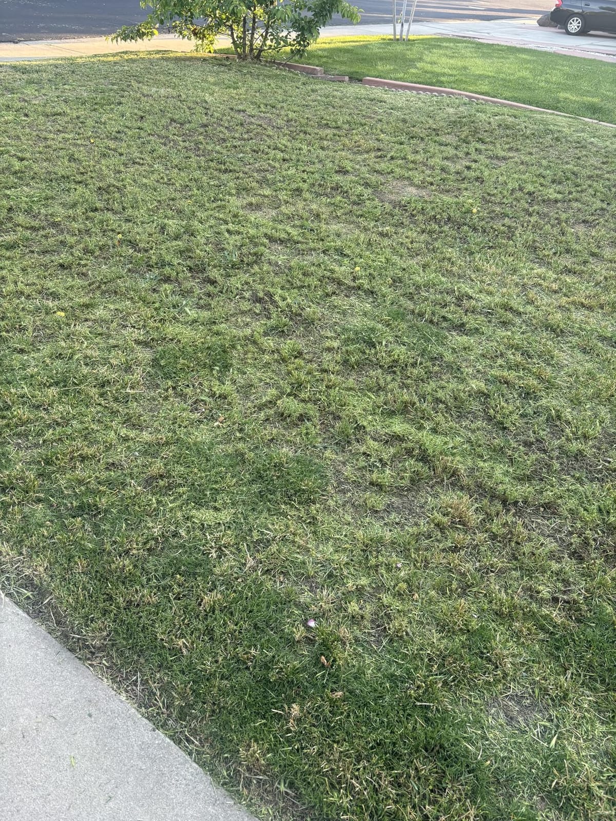 LawnMaster 48V MAX 19-inch Brushless Cordless Lawn Mower, CLMF4819X | 2X24V MAX 4.0Ah Battery, Dual Charger, 6 Cutting Positions customer photo 2